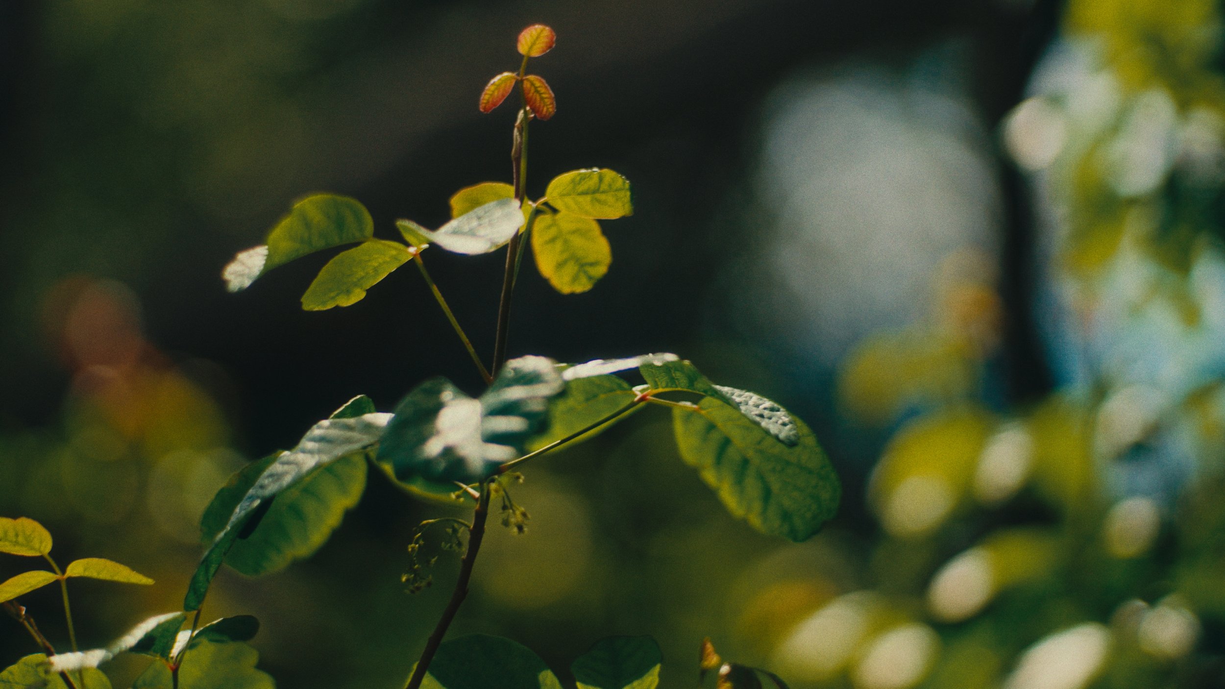 Still 2026-03-07 155944_1.222.1.jpg