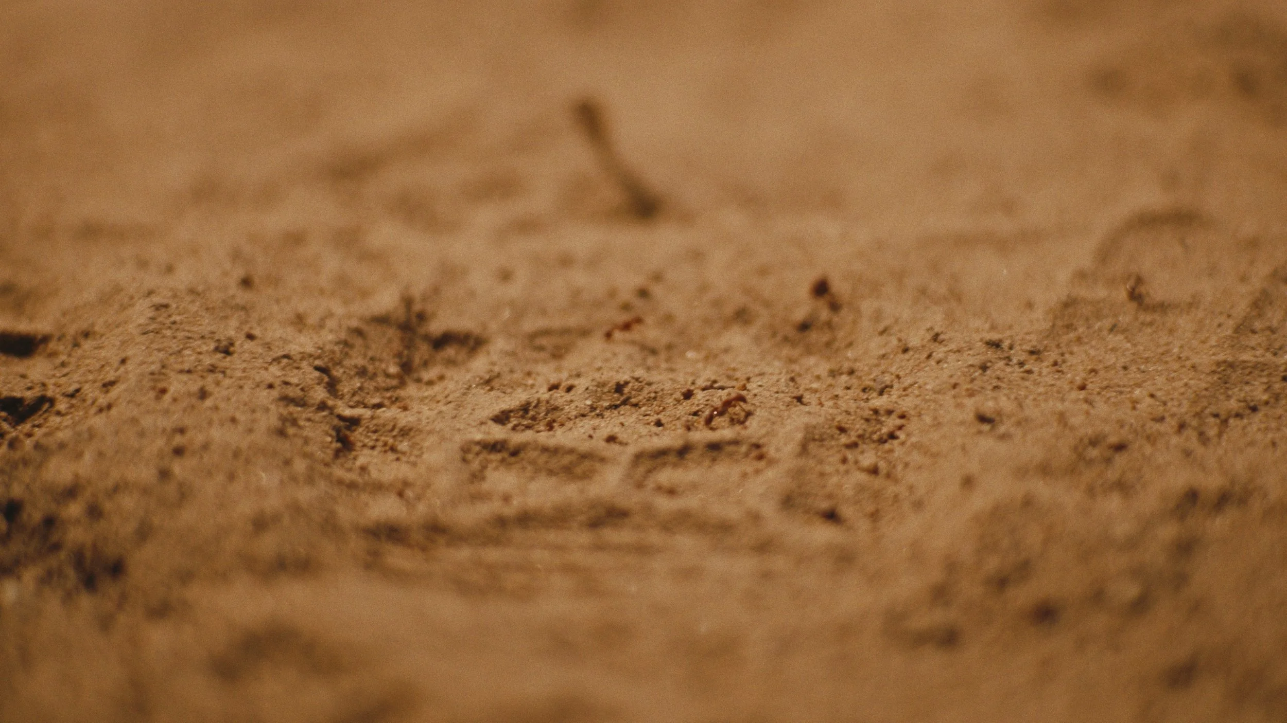 Still 2026-03-07 155944_1.221.1.jpg