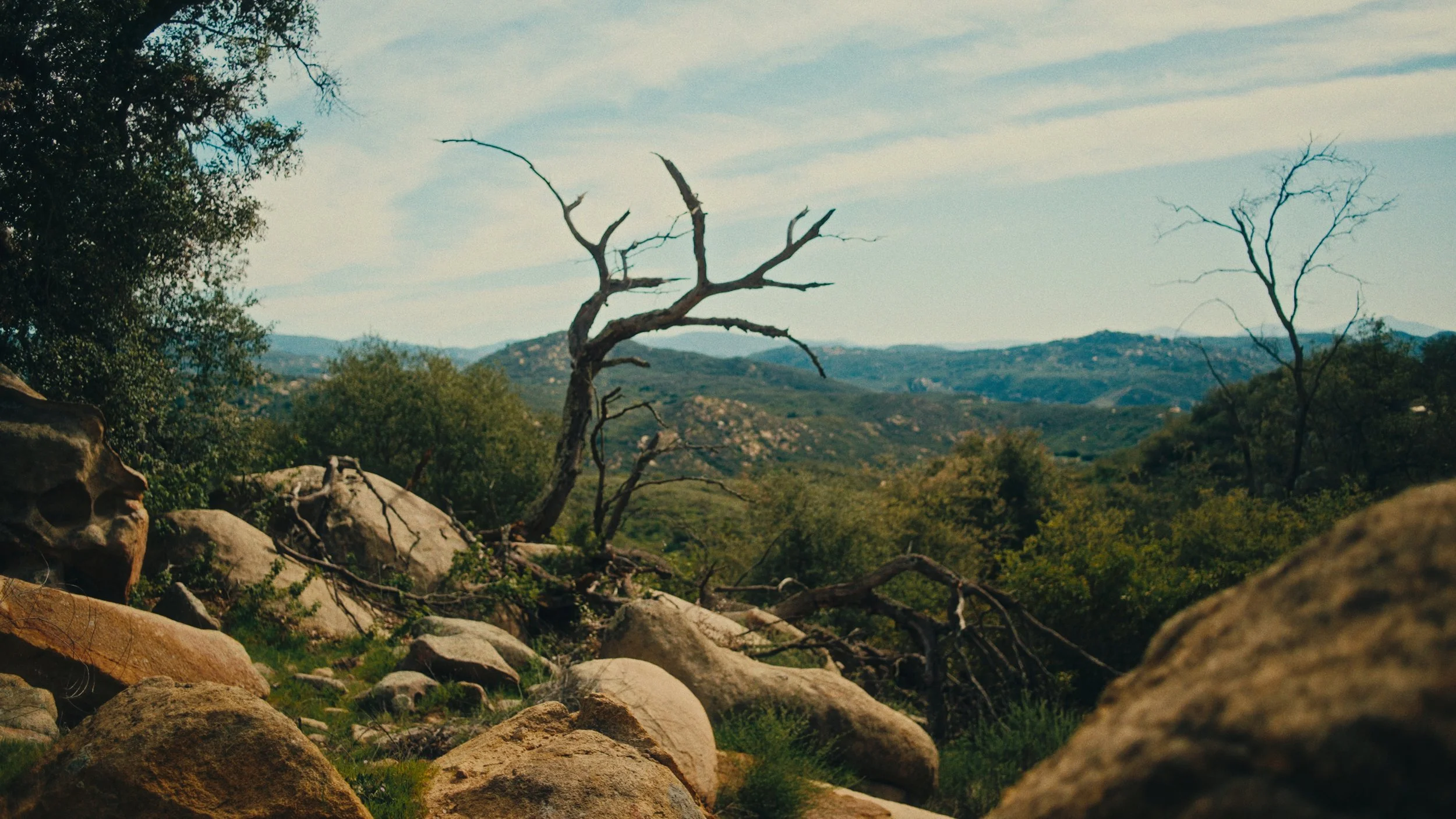 Still 2026-03-07 155944_1.203.1.jpg