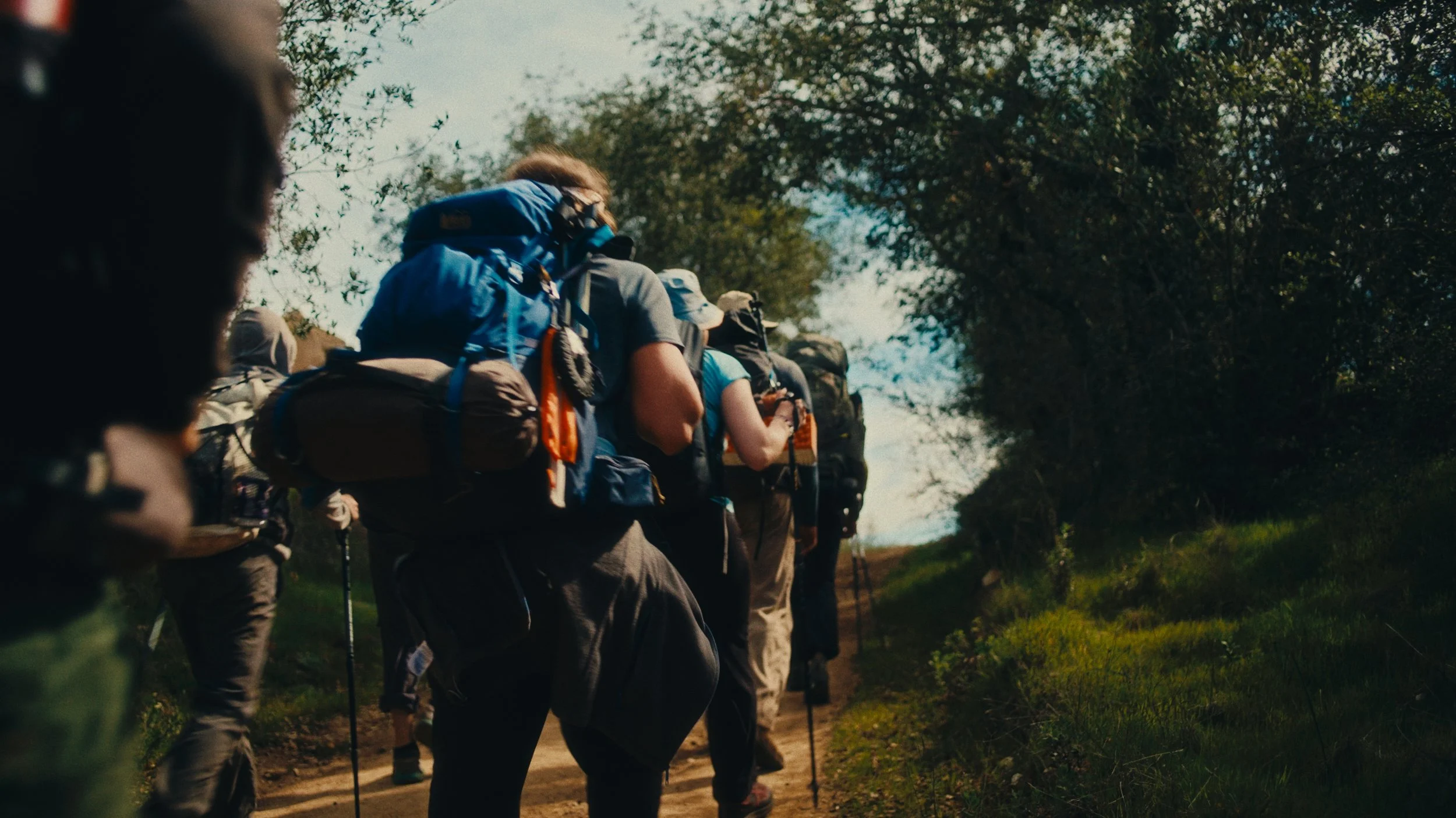 Still 2026-03-07 155944_1.201.1.jpg