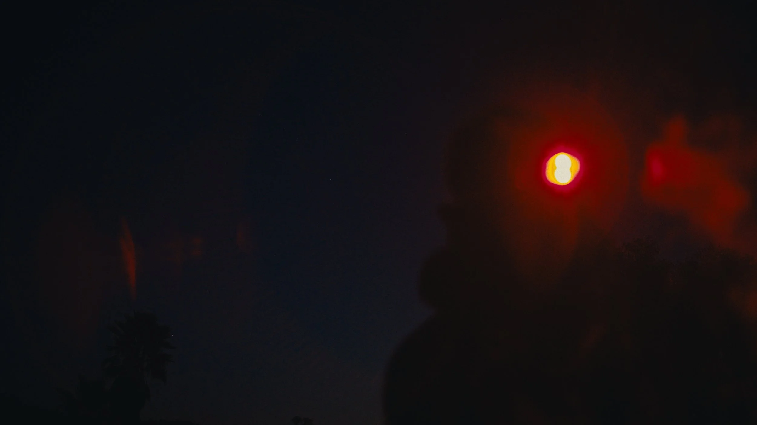 Still 2026-03-07 155944_1.166.1.jpg