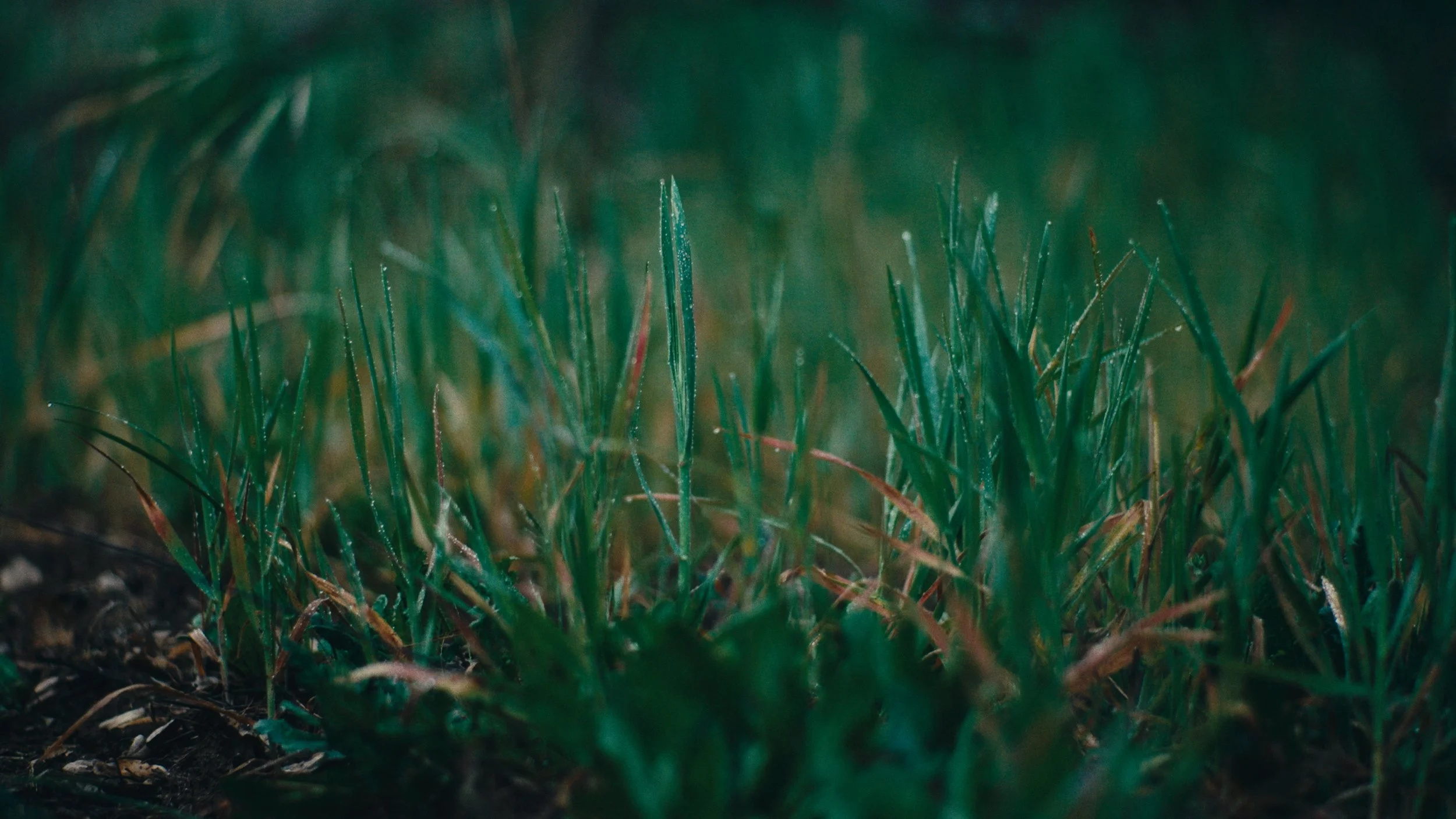 Still 2026-03-07 155944_1.149.1.jpg