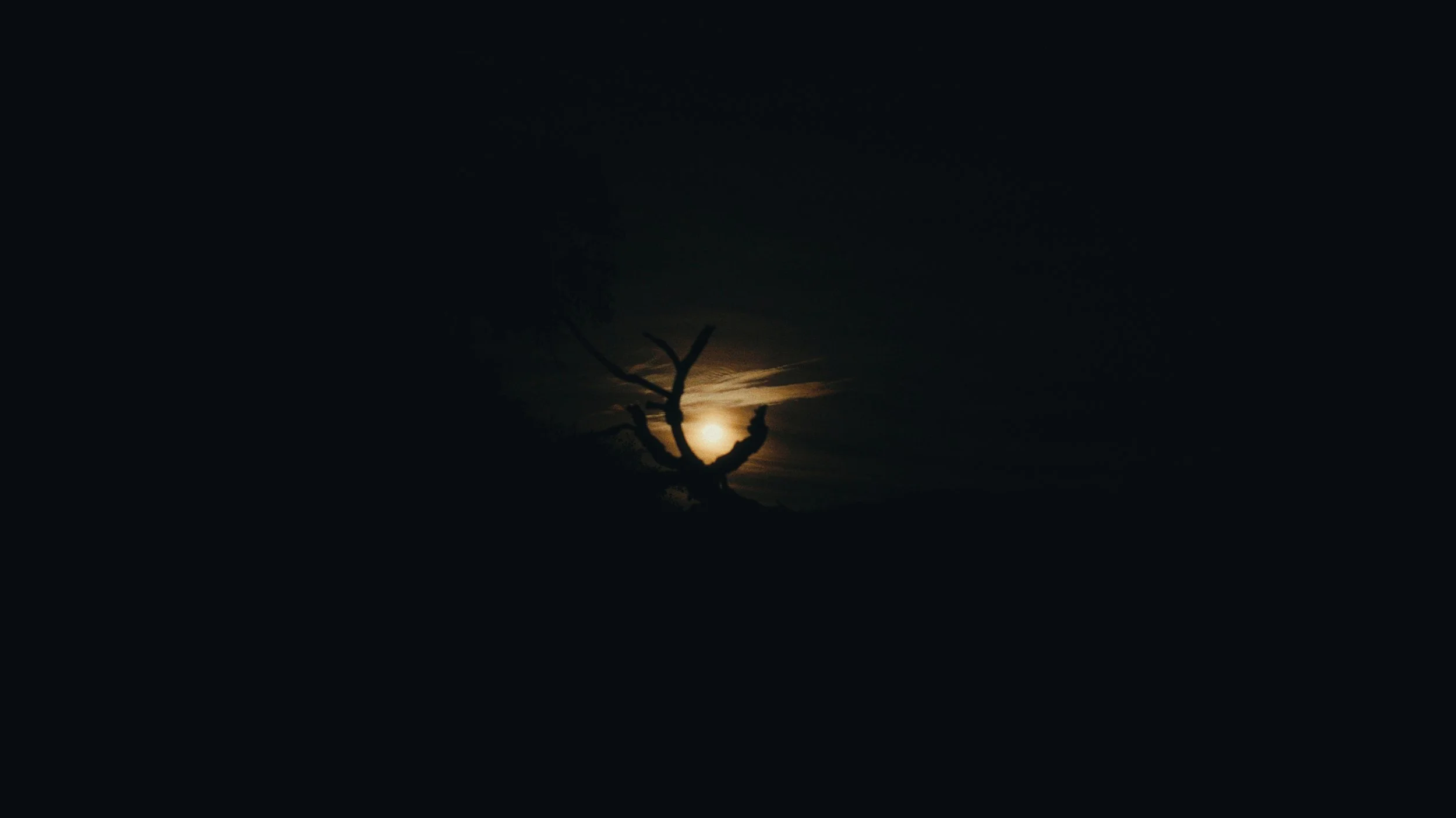 Still 2026-03-07 155944_1.139.1.jpg