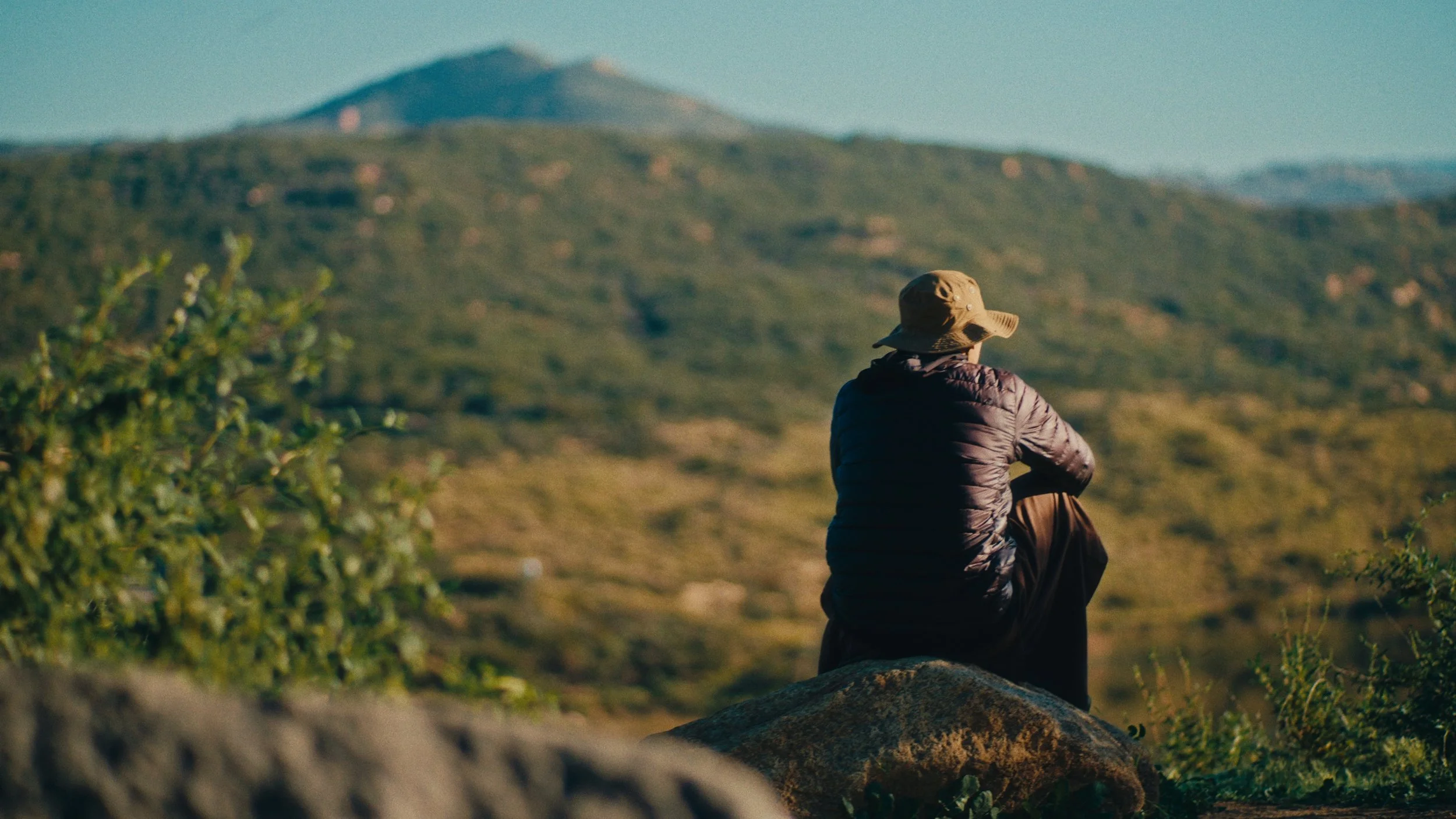 Still 2026-03-07 155944_1.62.1.jpg