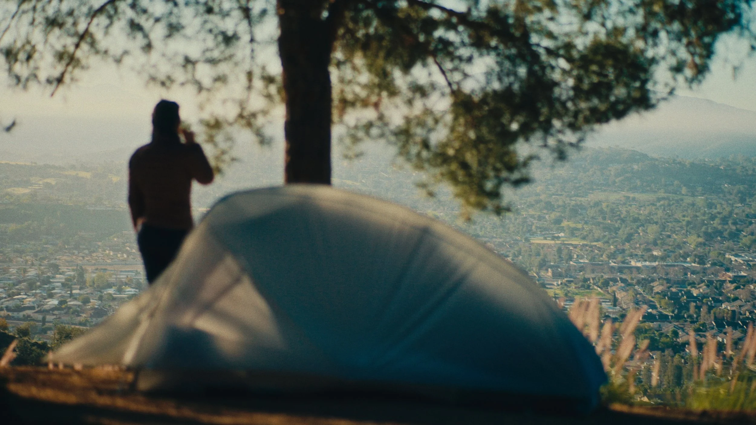 Still 2026-03-07 155944_1.43.1.jpg