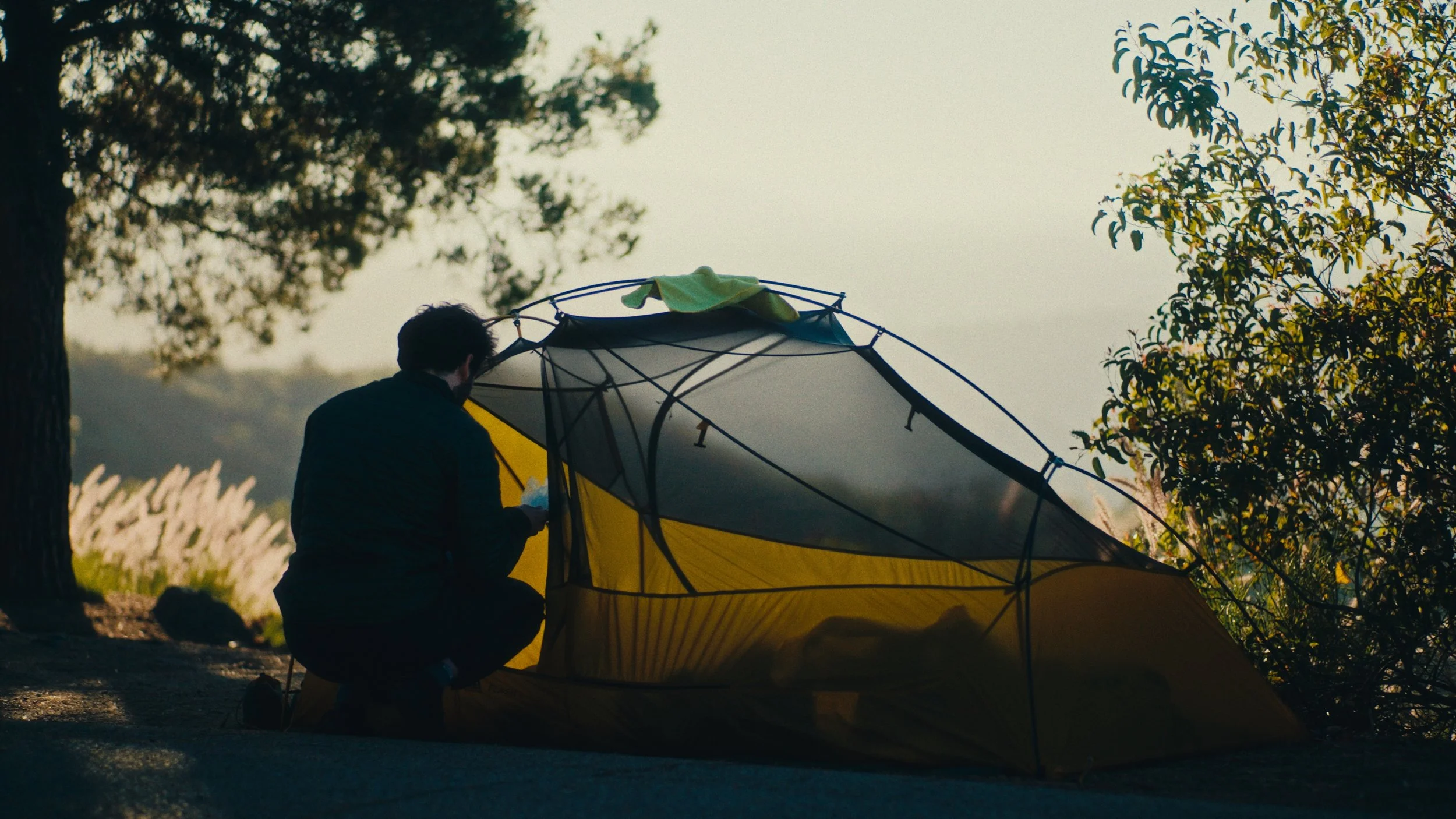 Still 2026-03-07 155944_1.41.1.jpg