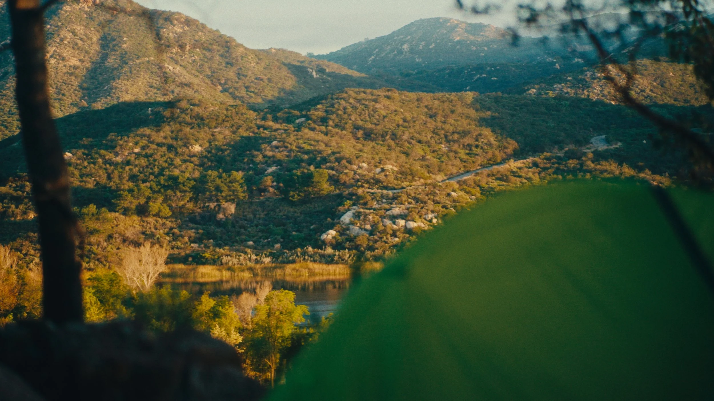 Still 2026-03-07 155944_1.31.1.jpg