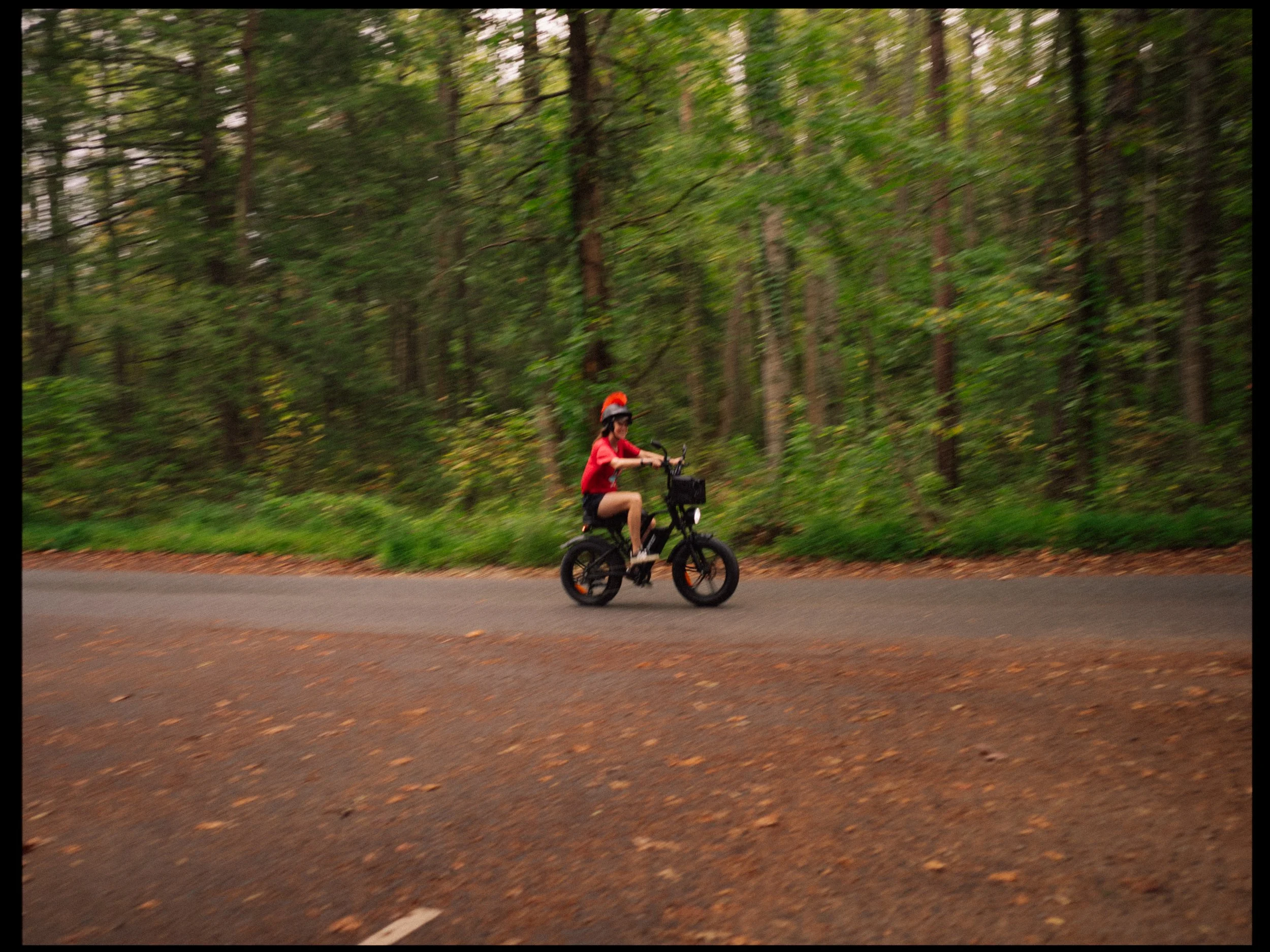 SAM03139.jpg