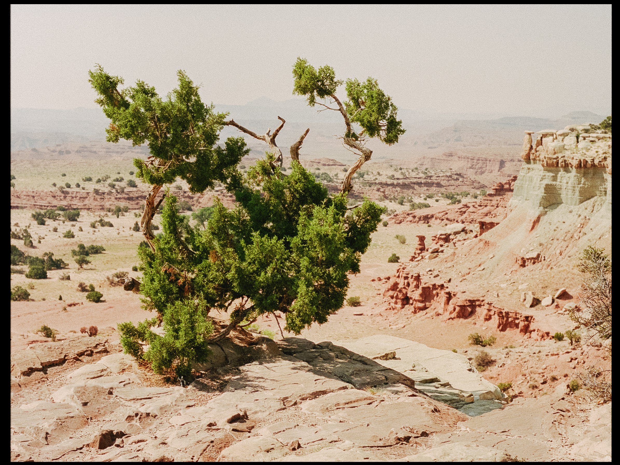 9849-05-2.jpg