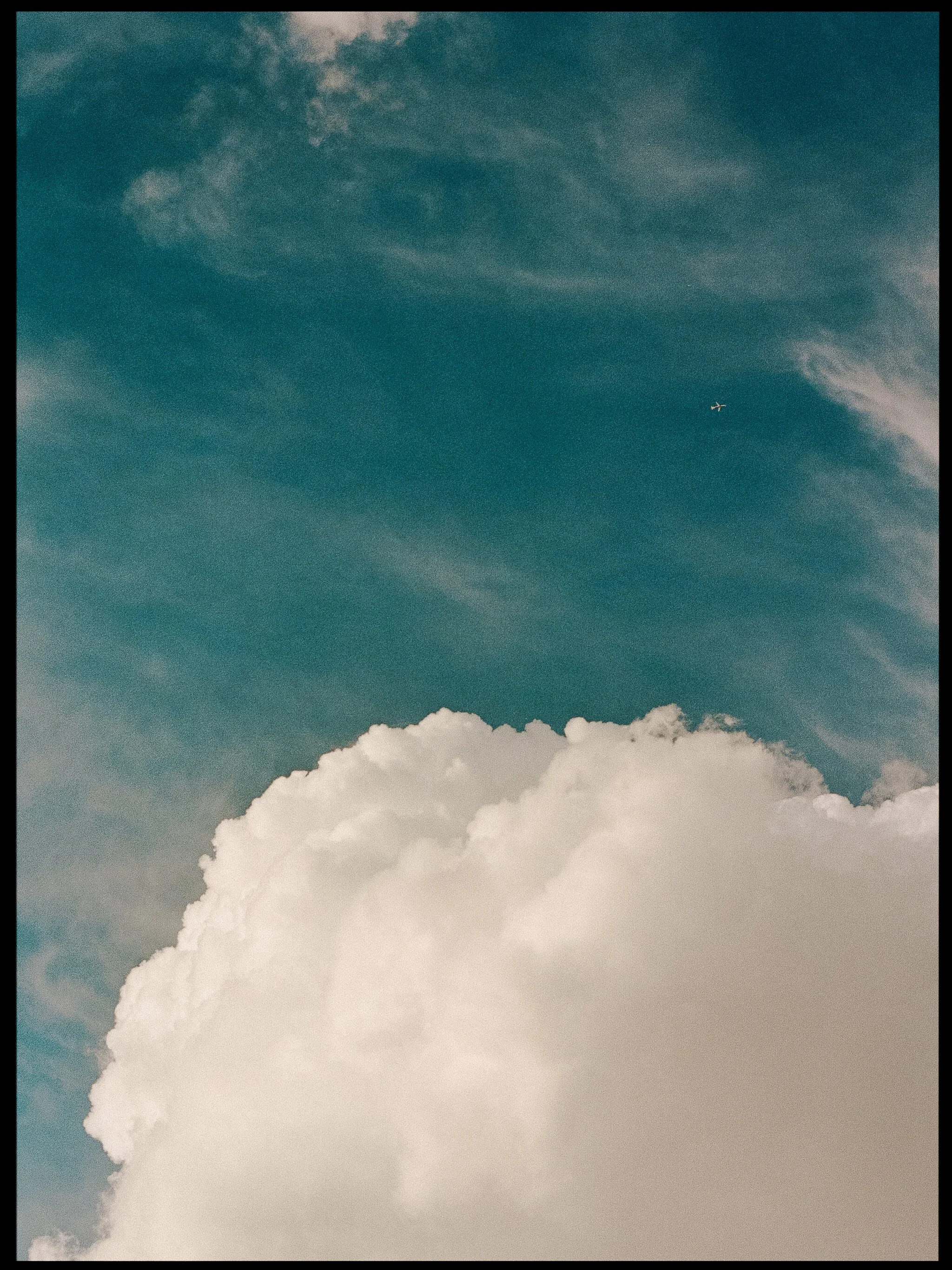 9852-34.jpg
