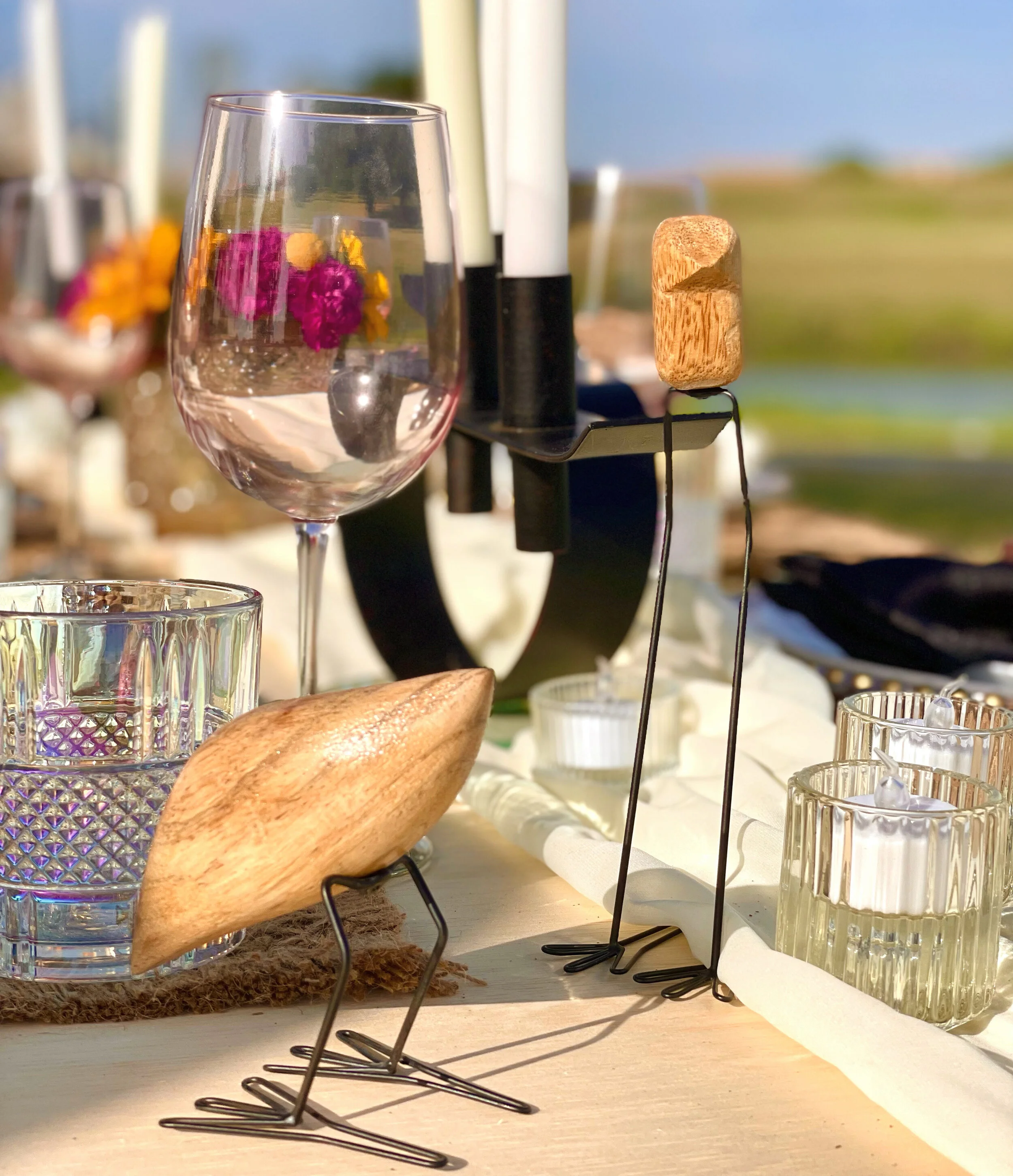 Luxury Picnics and Event Styling in Fort Worth