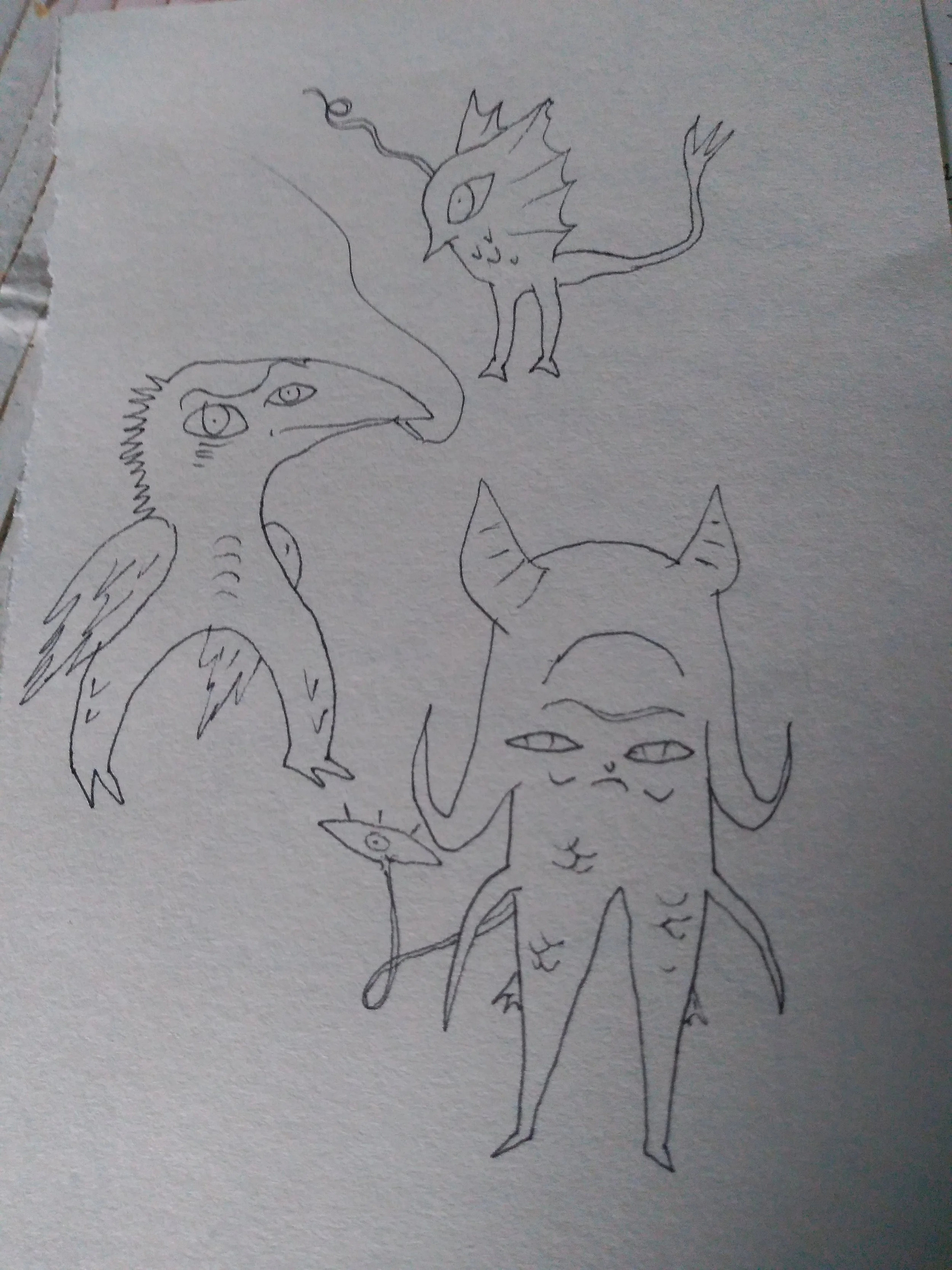 P_20190428_093827 (1).jpg