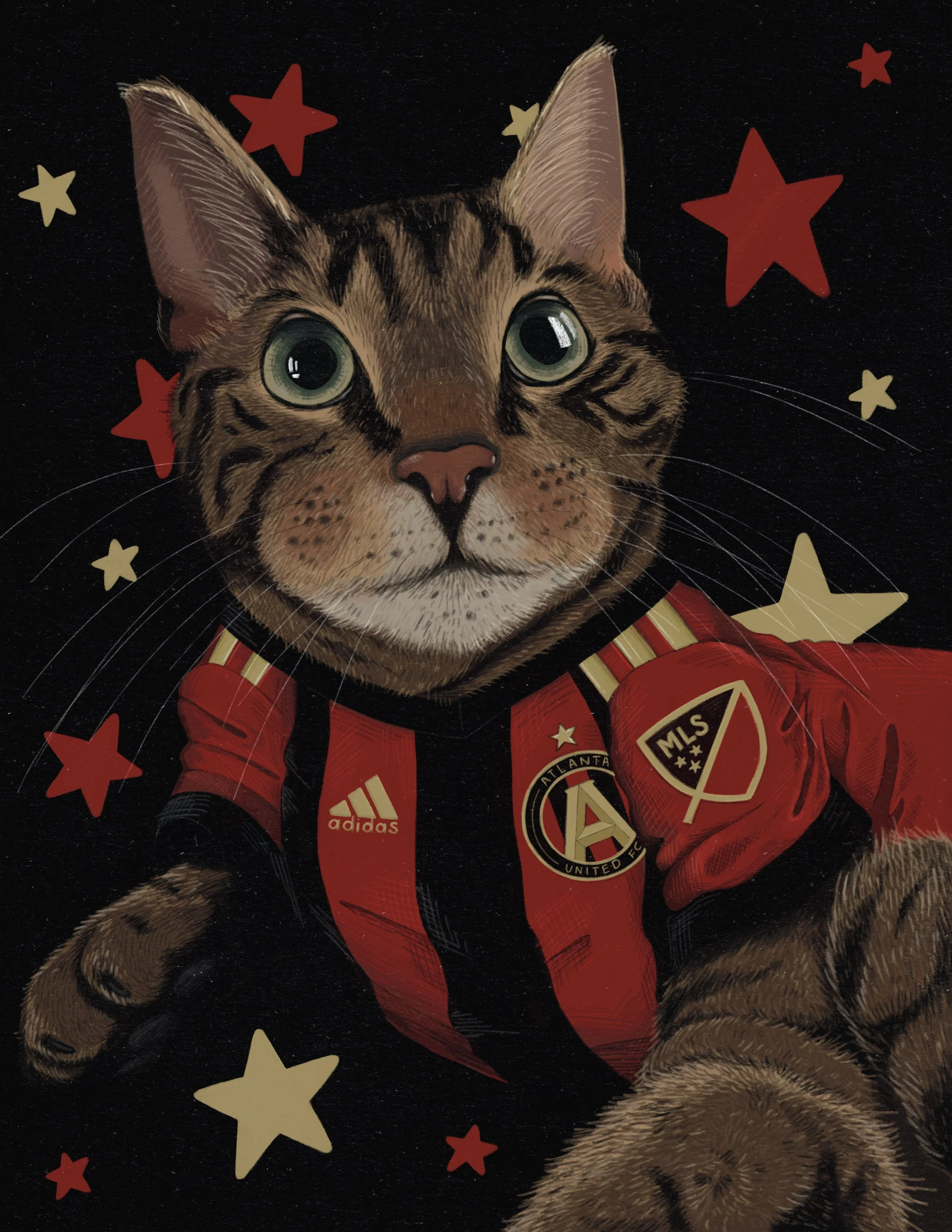 My friend Andrew's cat (Lazlo) in an Atlanta United Jersey (both are huge fans)