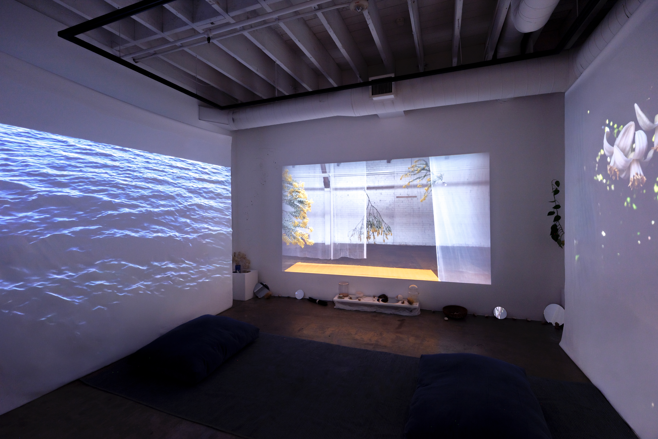 Installation view of Material Prophecies: Craft as Divination at Armory Center for the Arts, 2026.
Courtesy of Armory Center for the Arts. Photo: Chris Young, CC YOUNG STUDIO.