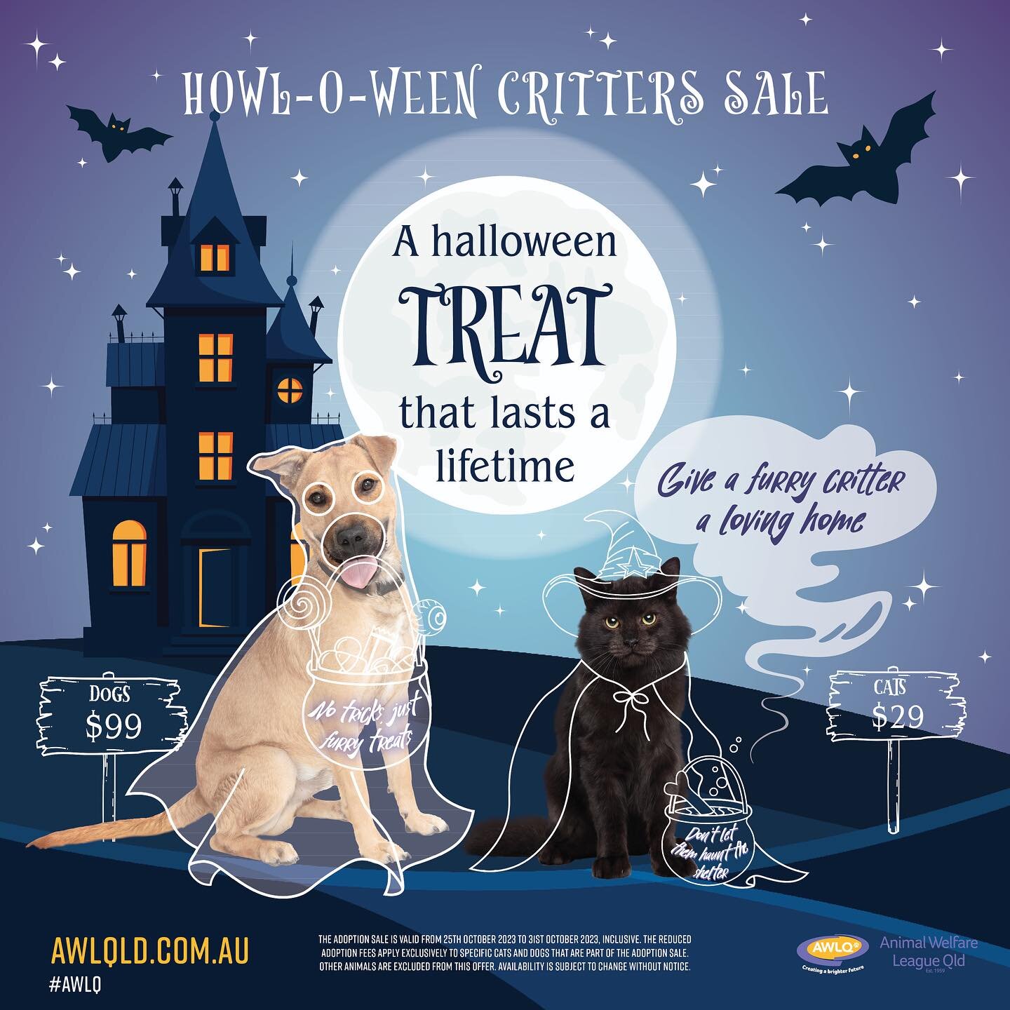 Current Howl-o-ween campaign for our pals @awlqld 👻 🖤

&mdash;
Adopt a furry friend at our Halloween adoption sale! 

From 25-31 October, AWLQ Animal Rehoming Centres will be offering bewitching deals! Adult cats will be available for just $29, whi