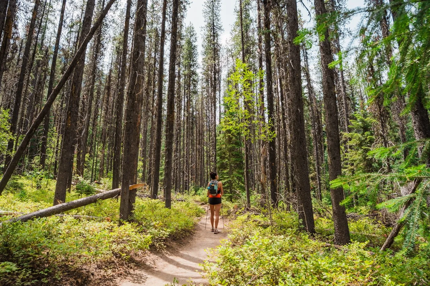 girl walking along the first mile of the lake stuart trail