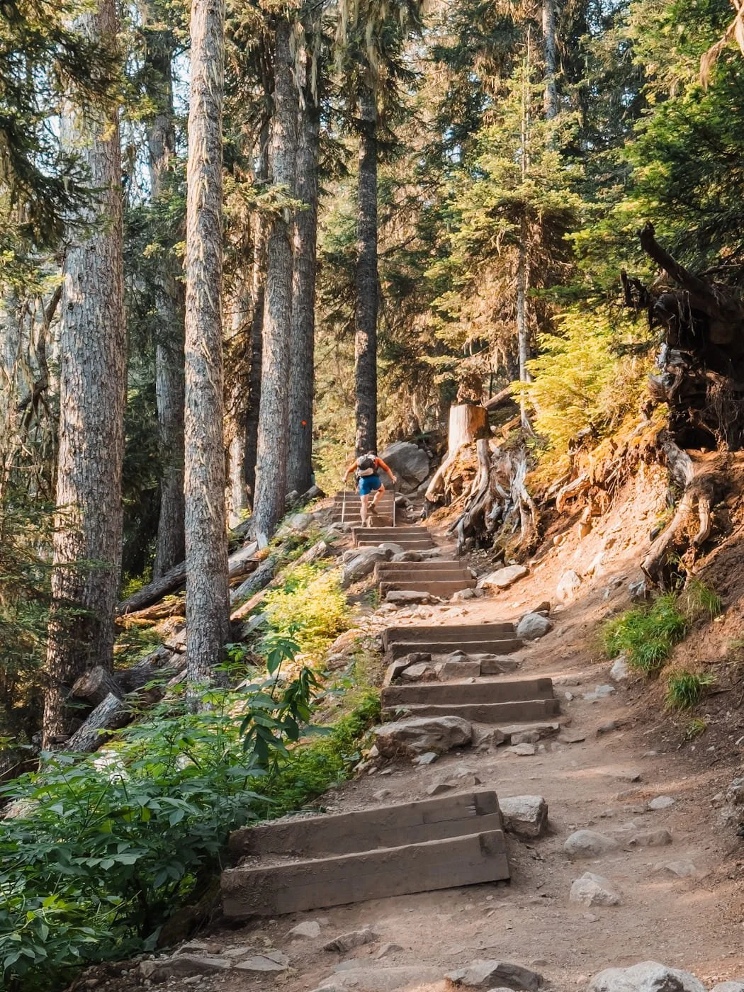 Hiker on the steep section of the hike to Upper Joffre Lake