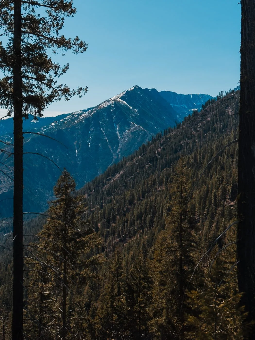 icicle-ridge-views.jpg