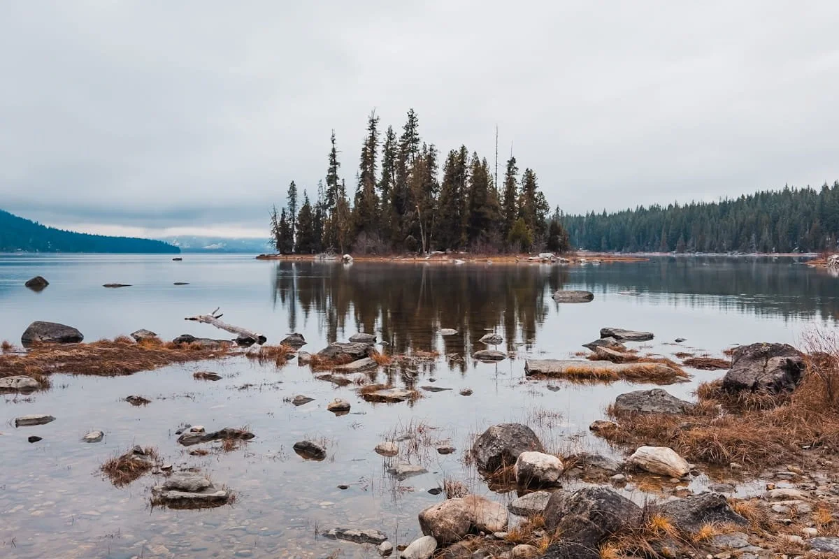 A treed in island in the middle of Lake Wenatchee, with the trees reflecting in the lake