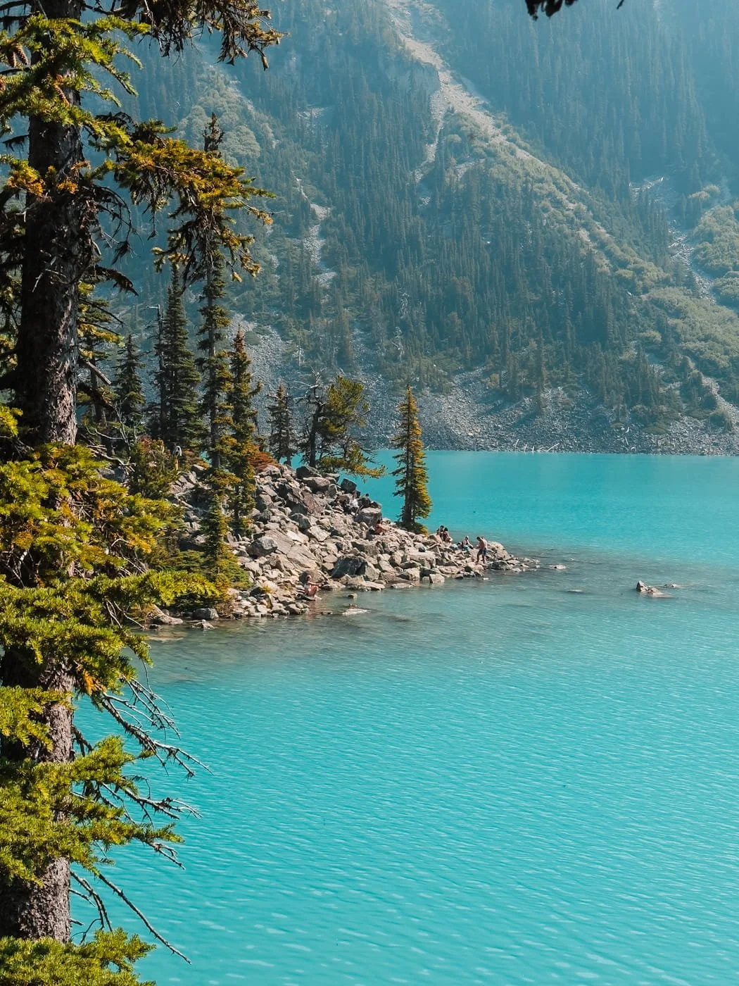 Shoreline of upper Joffre Lake