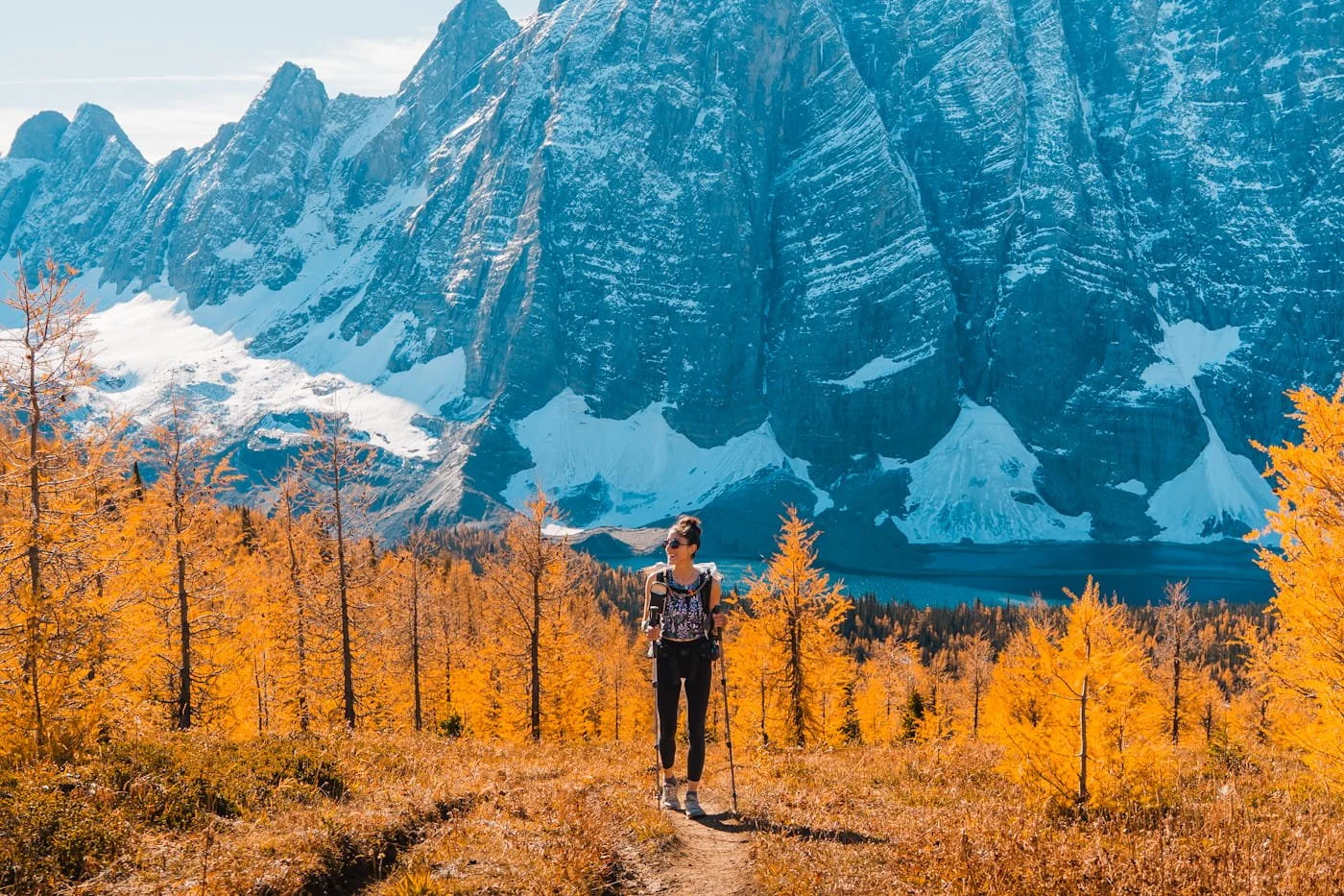 a woman hiking up to Numa Pass with larch trees and a big mountain behind her
