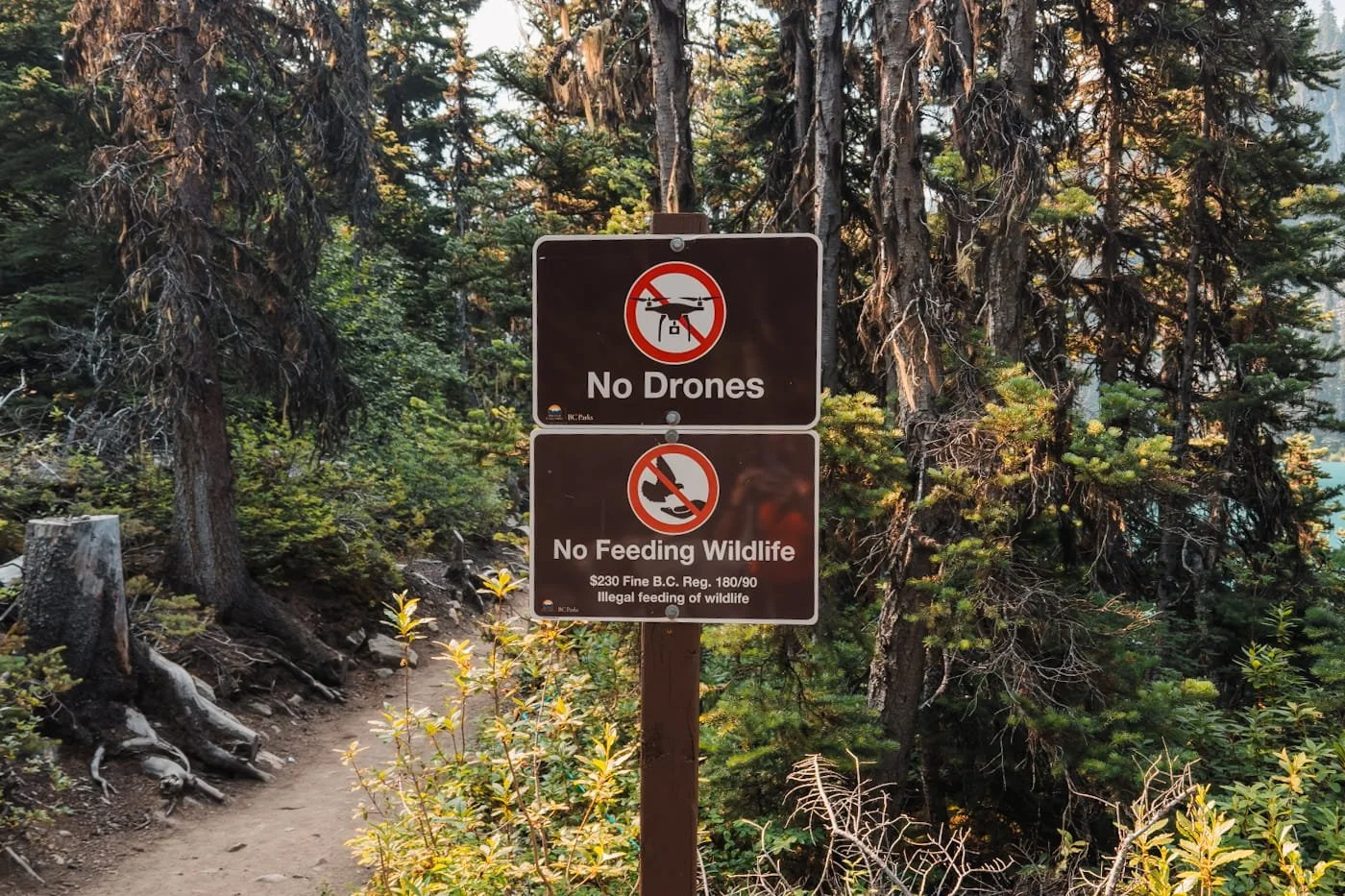 Signage along the trail to remind visitors not to feed wildlife or ly drones