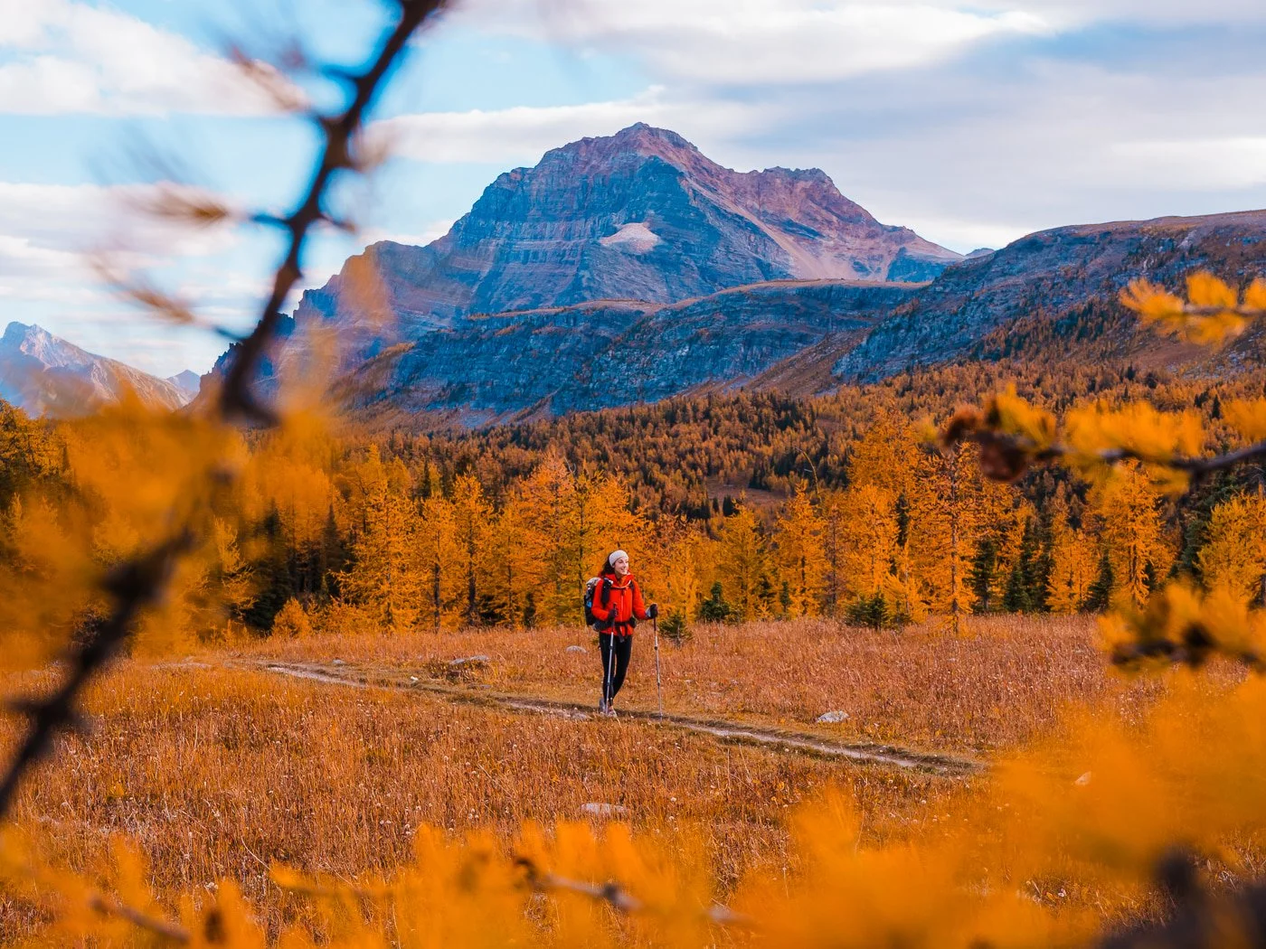 12 Best Larch Hikes Near Banff and Canmore: Fall Colors Guide (2026)