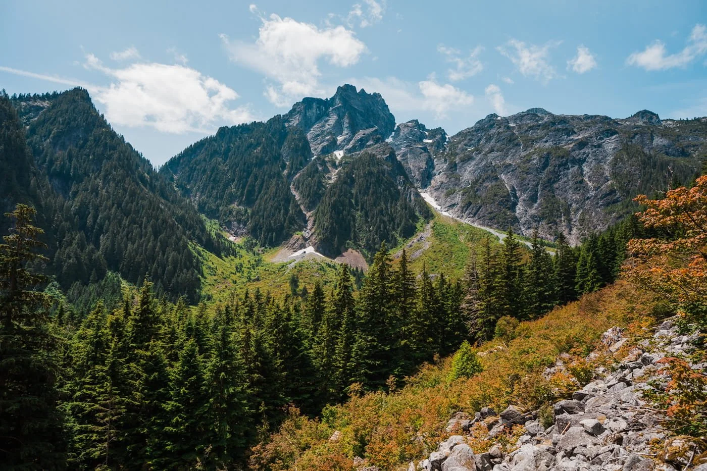 golden-ears-trail-view.jpg