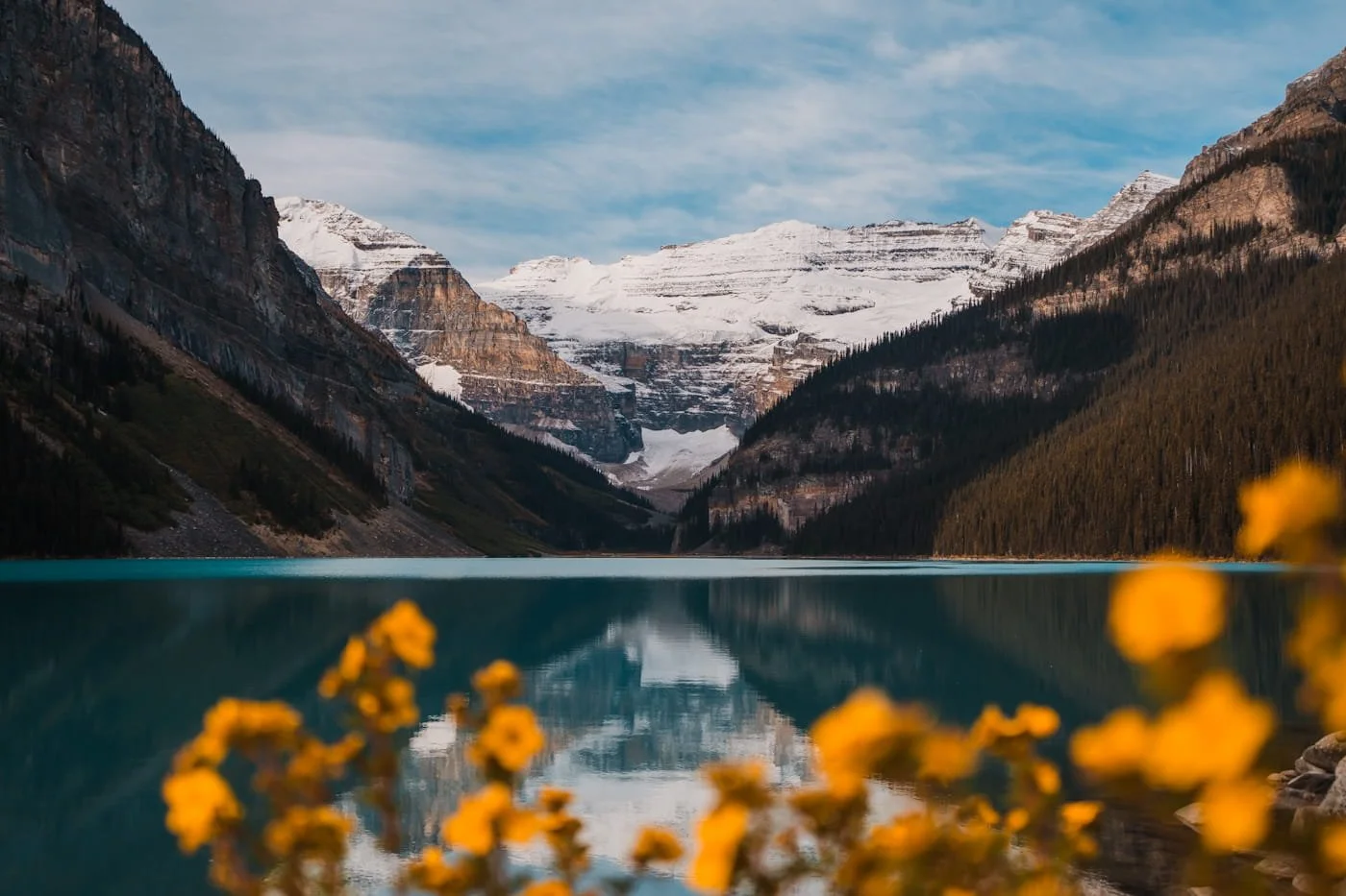 A reflective blue lake with yellow flowers in the foreground and mountains with glaciers in the background