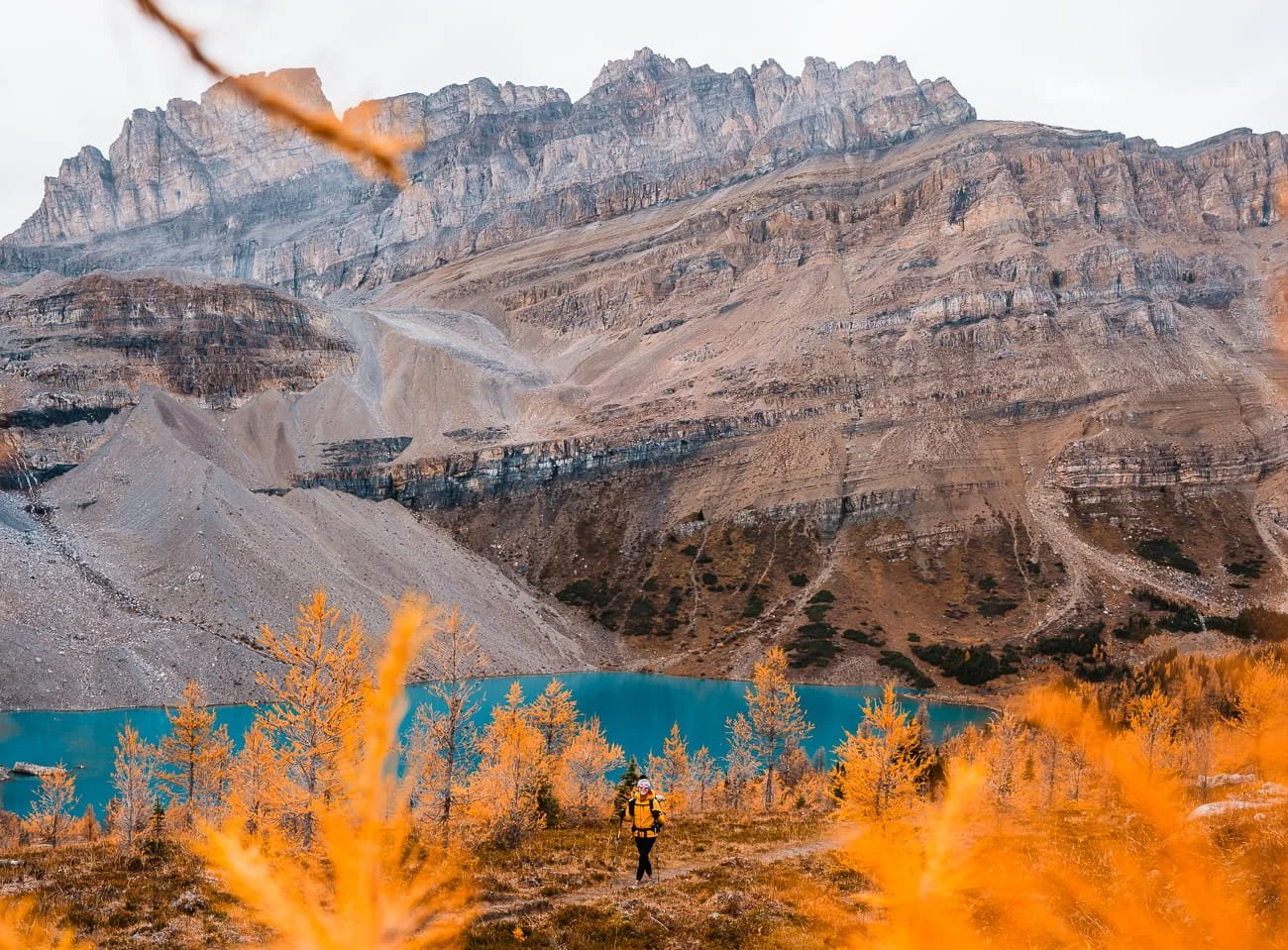 A hiker walking up the trail, wearing a yellow rain jacket, surrounded by golden larches, with a bright blue lake and mountains in the background