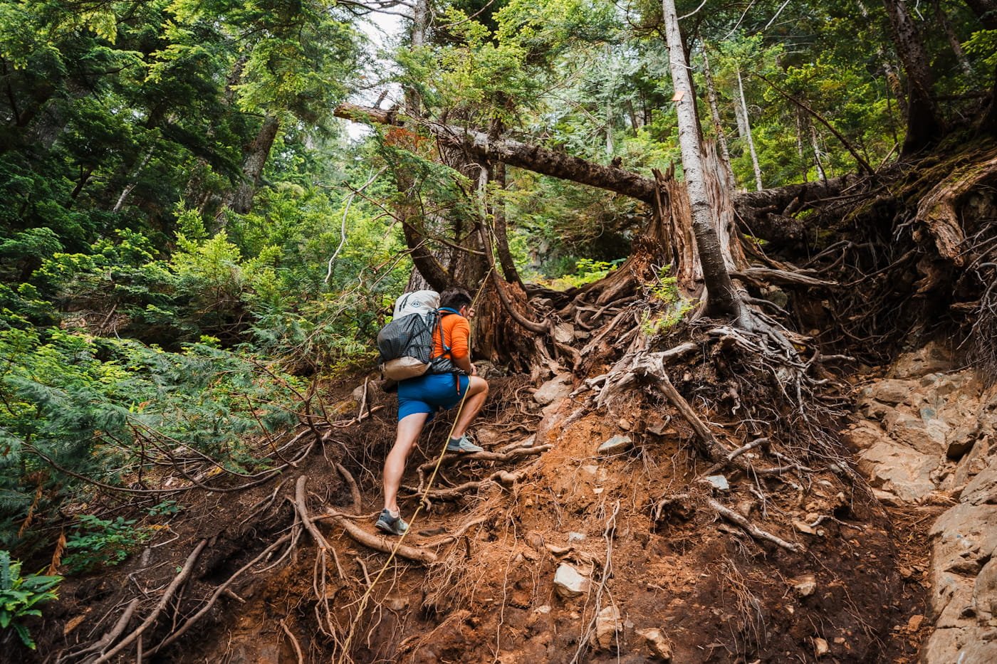 man using a handline to ascend a steep section of the Golden Ears trail to Panorama Ridge camping area