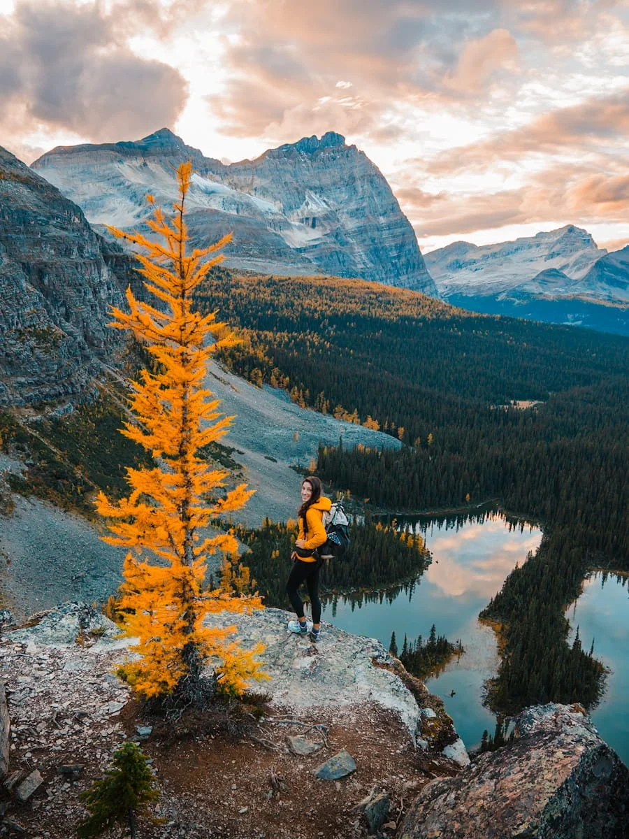 a woman standing on the edge of a cliff with a golden larch tree next to her and alpine lakes and mountains in the distance, above Lake O'Hara in Canada
