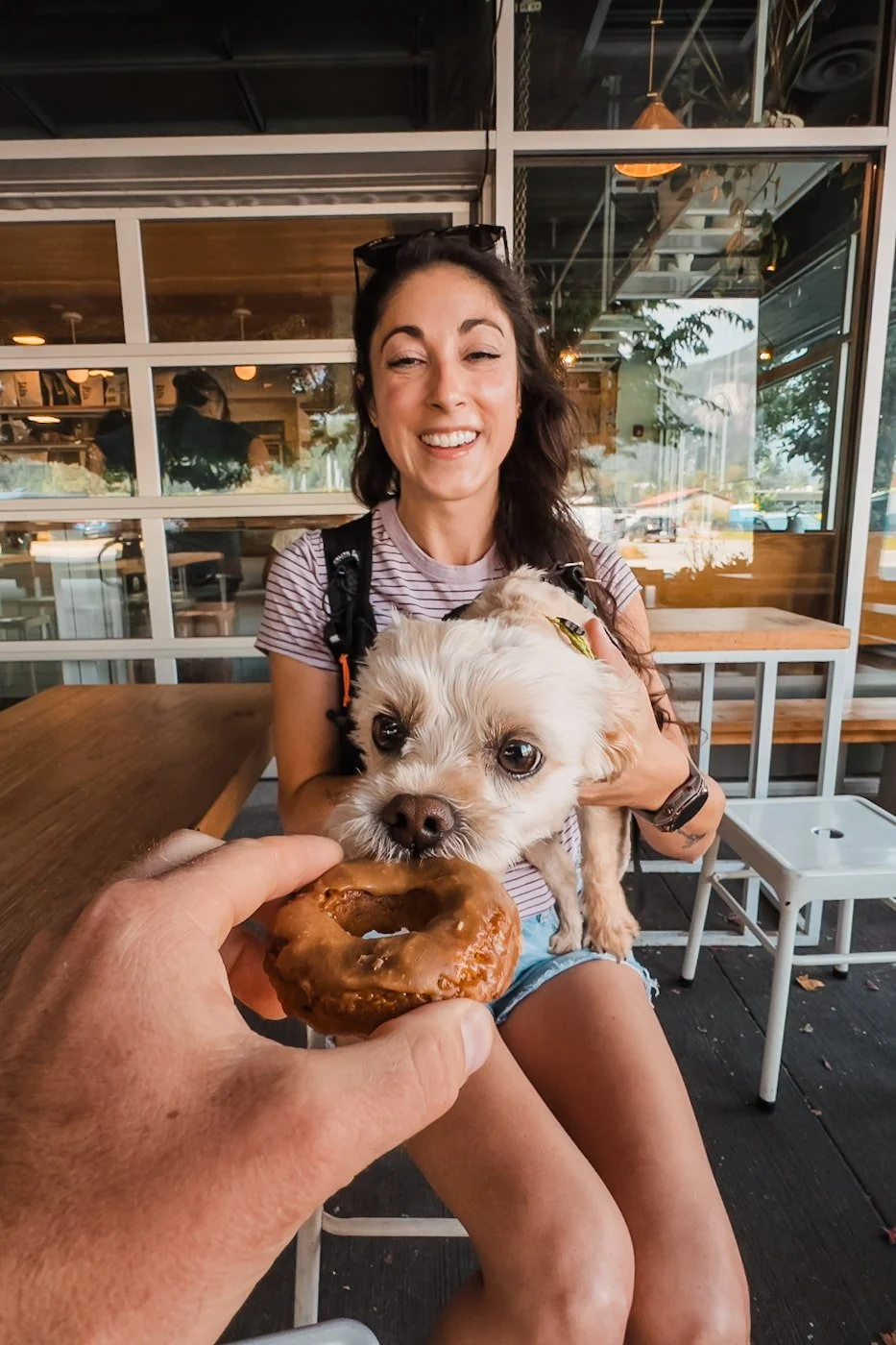 dog eating doughnut from Fox &amp; Oak in Squamish