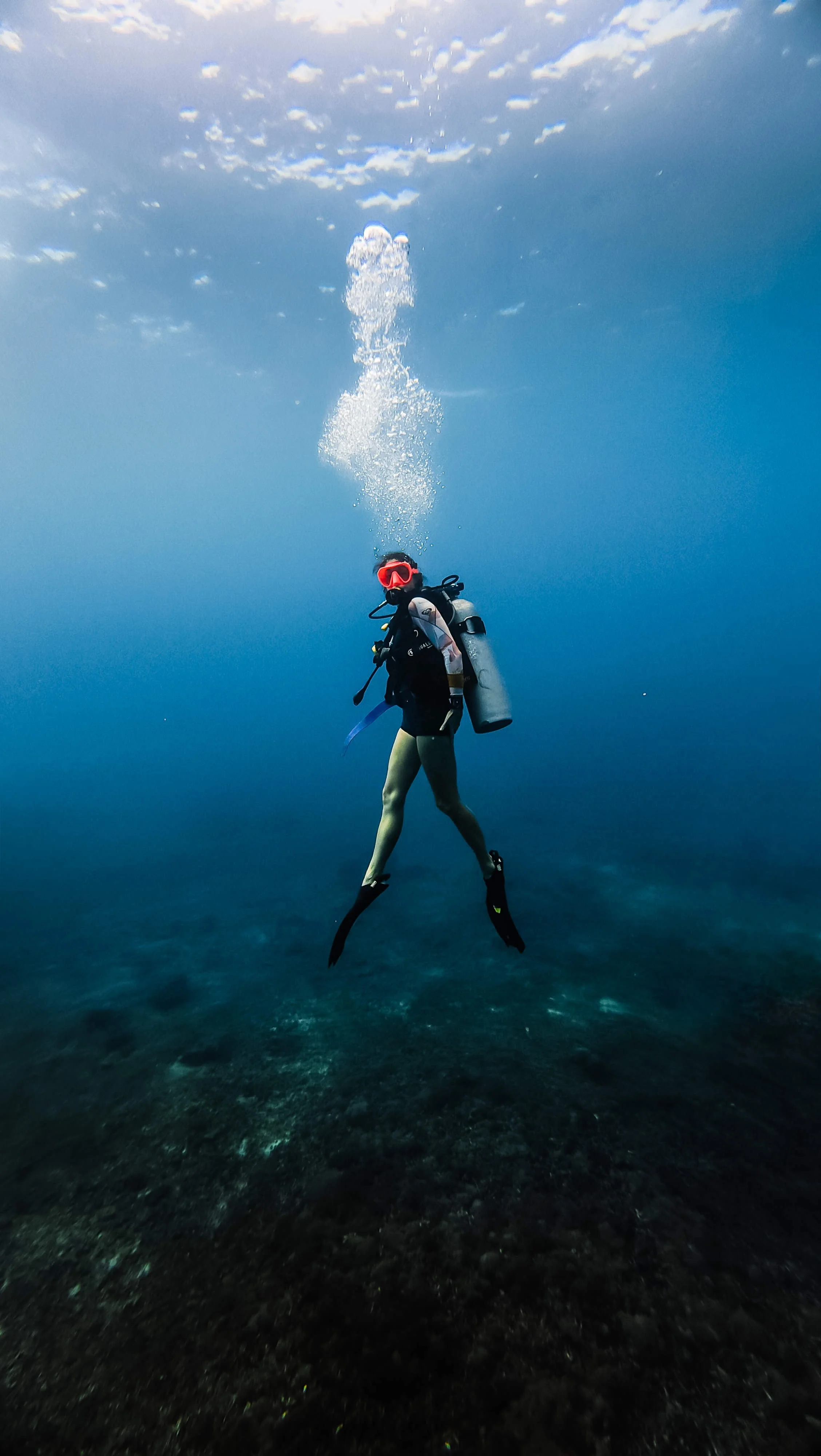 dji_mimo_20250223_095738_20250223095738_1740281882423_photo 2 (1).jpeg