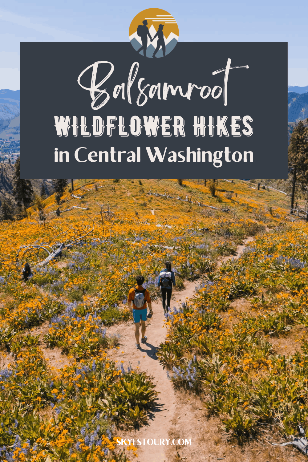 leavenworth-wildflower-hikes-pin3.png