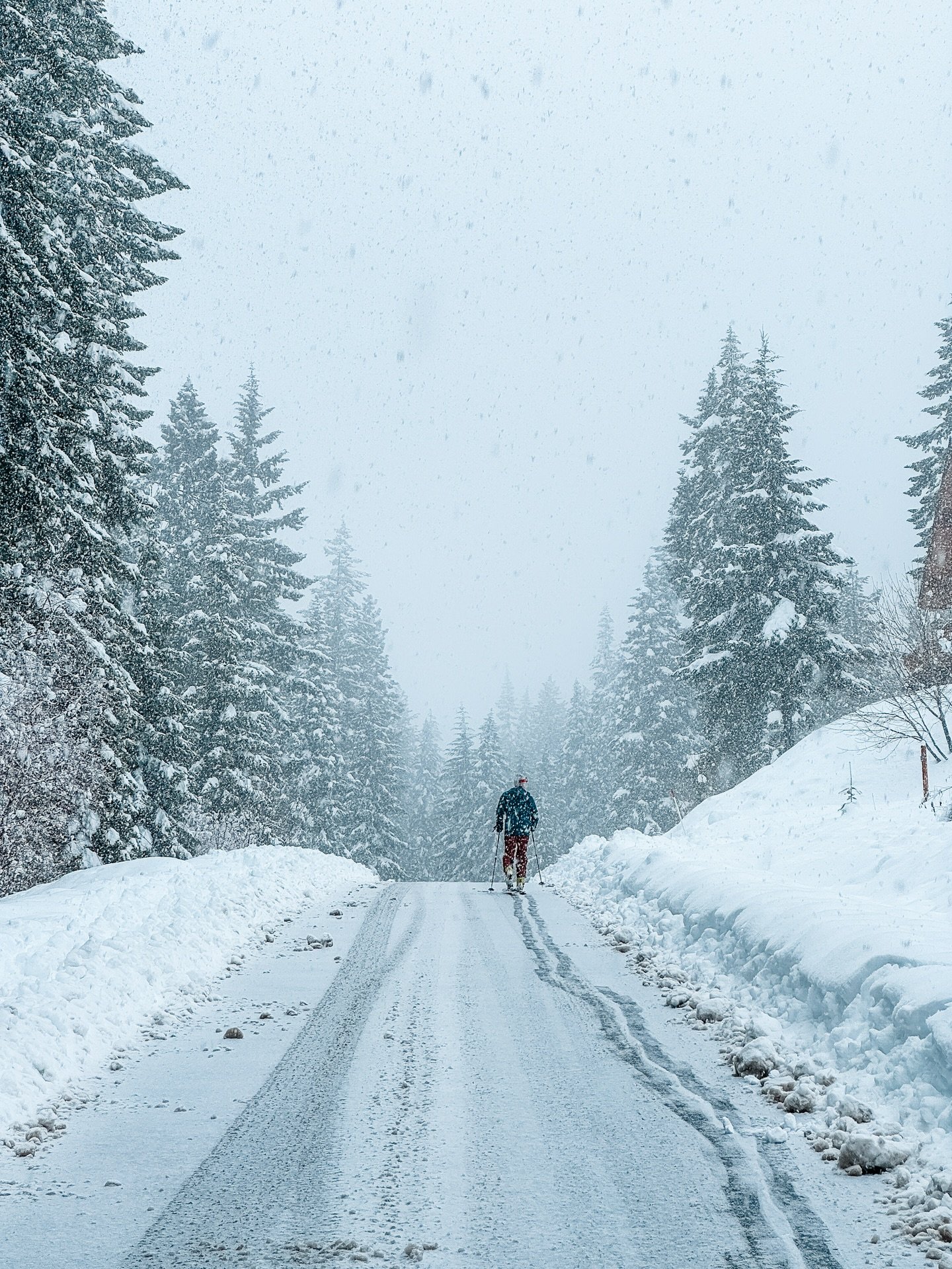 What the past 5 days in Washington have looked like ❄️

Right when we thought spring was here, Mother Nature was like &ldquo;nah, here&rsquo;s more winter!&rdquo;

🏔️ And it was amazing because we desperately needed more snow this season. 

🌨️ Over