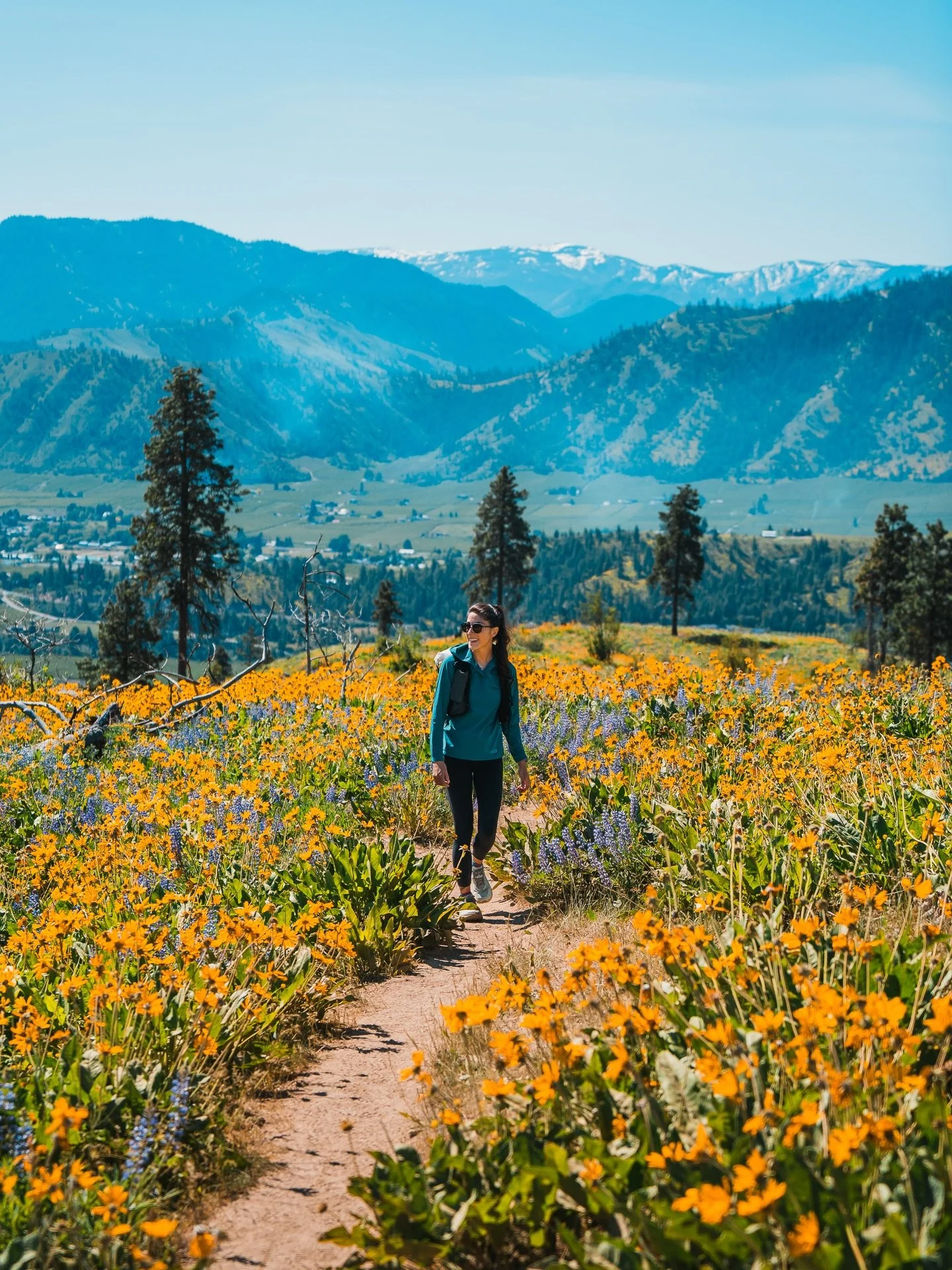 Can&rsquo;t get enough of this 🌼

I never used to like spring very much. In the PNW it meant snow still at higher elevations, so not as many open hikes and climbs, and usually some rain. 

🌻 But after discovering wildflower hikes in Central Washing