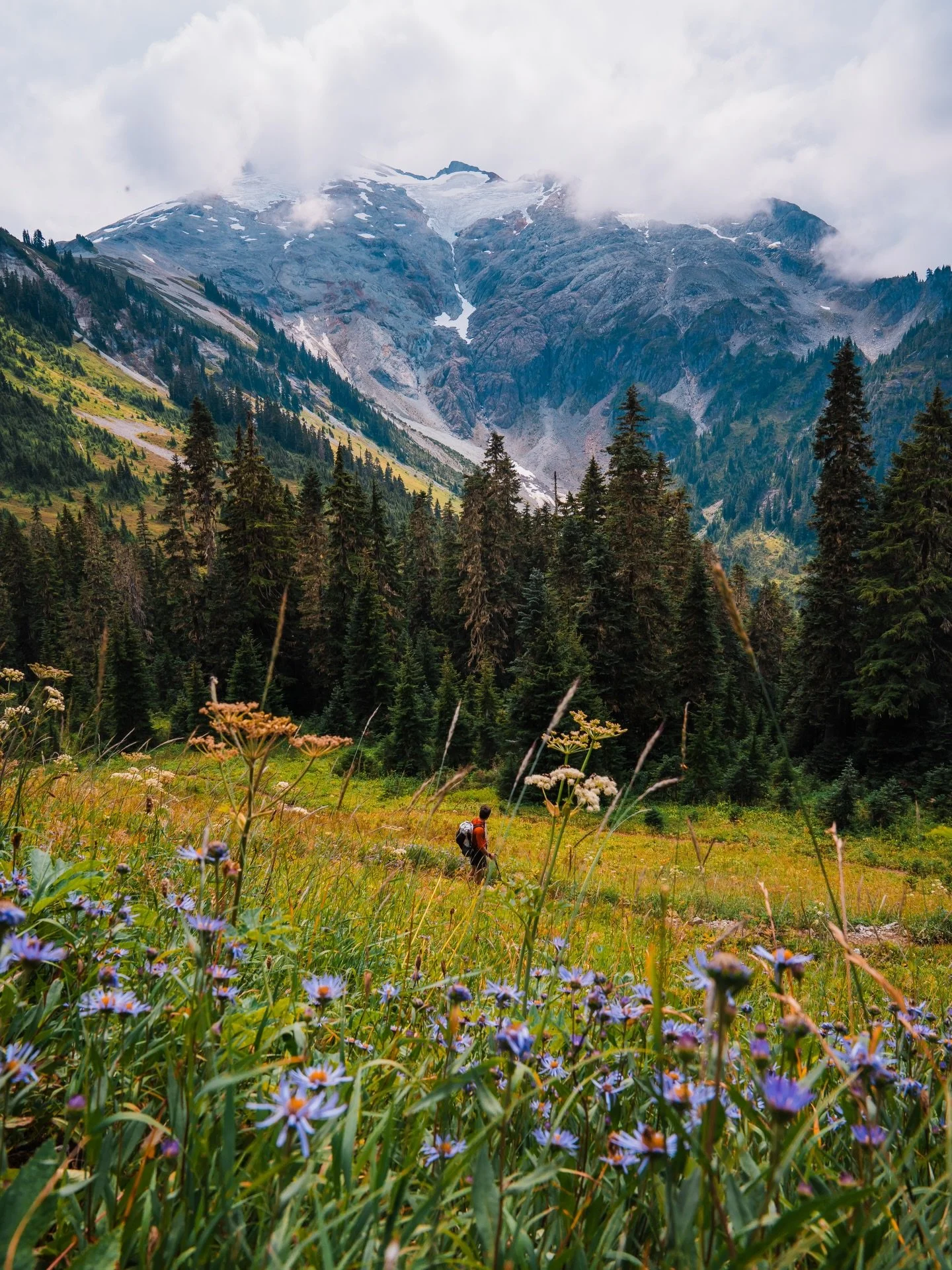 Wildflowers of Washington &amp; the PNW🪻

Spring isn&rsquo;t the only time to see wildflowers&hellip;

Washington wildflowers come in all shapes and sizes and at all different times throughout spring and summer. 

🌼 So if you&rsquo;re not able to c