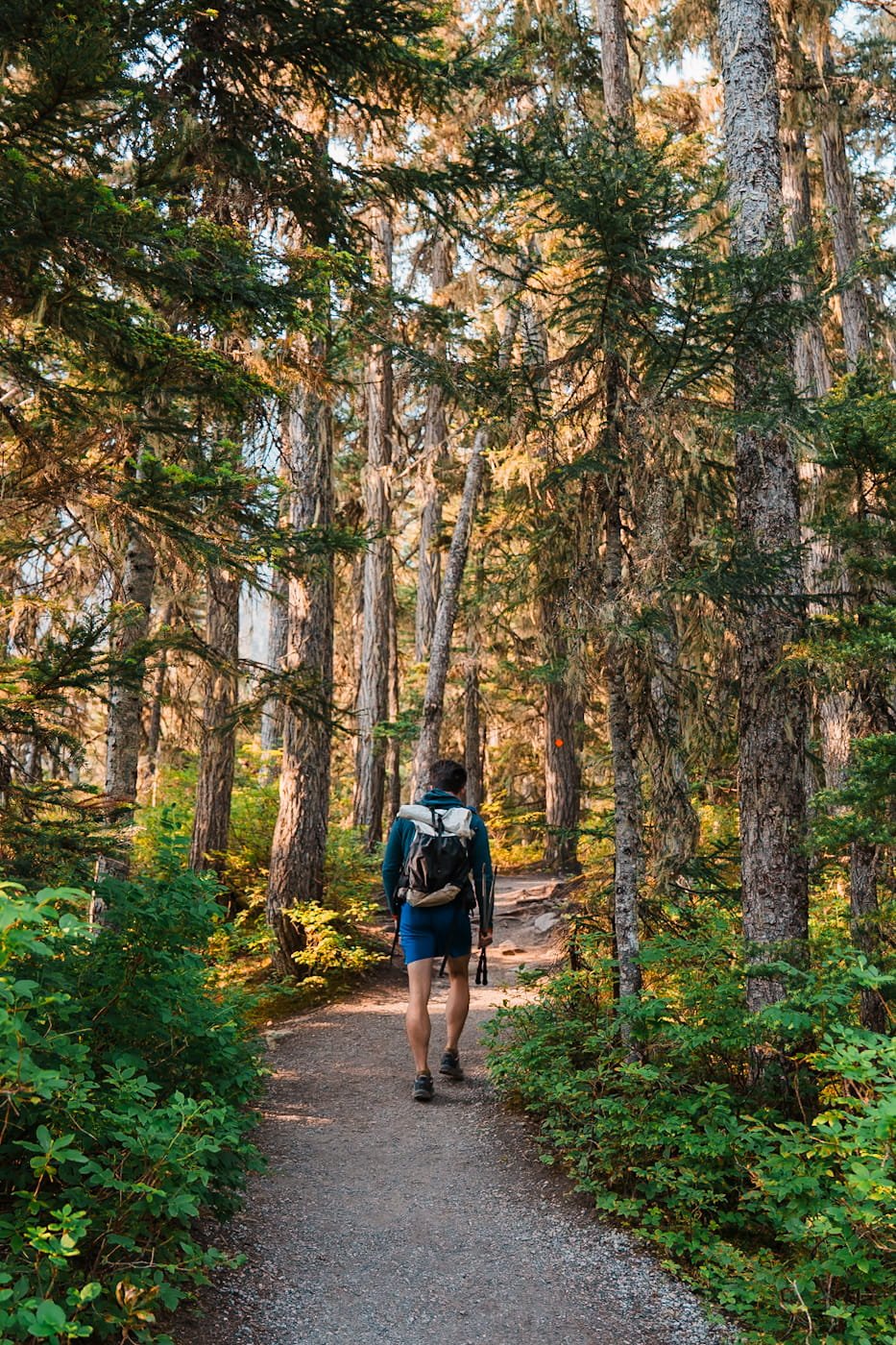 Hiker on the middle section of the hike to Upper Joffre Lake