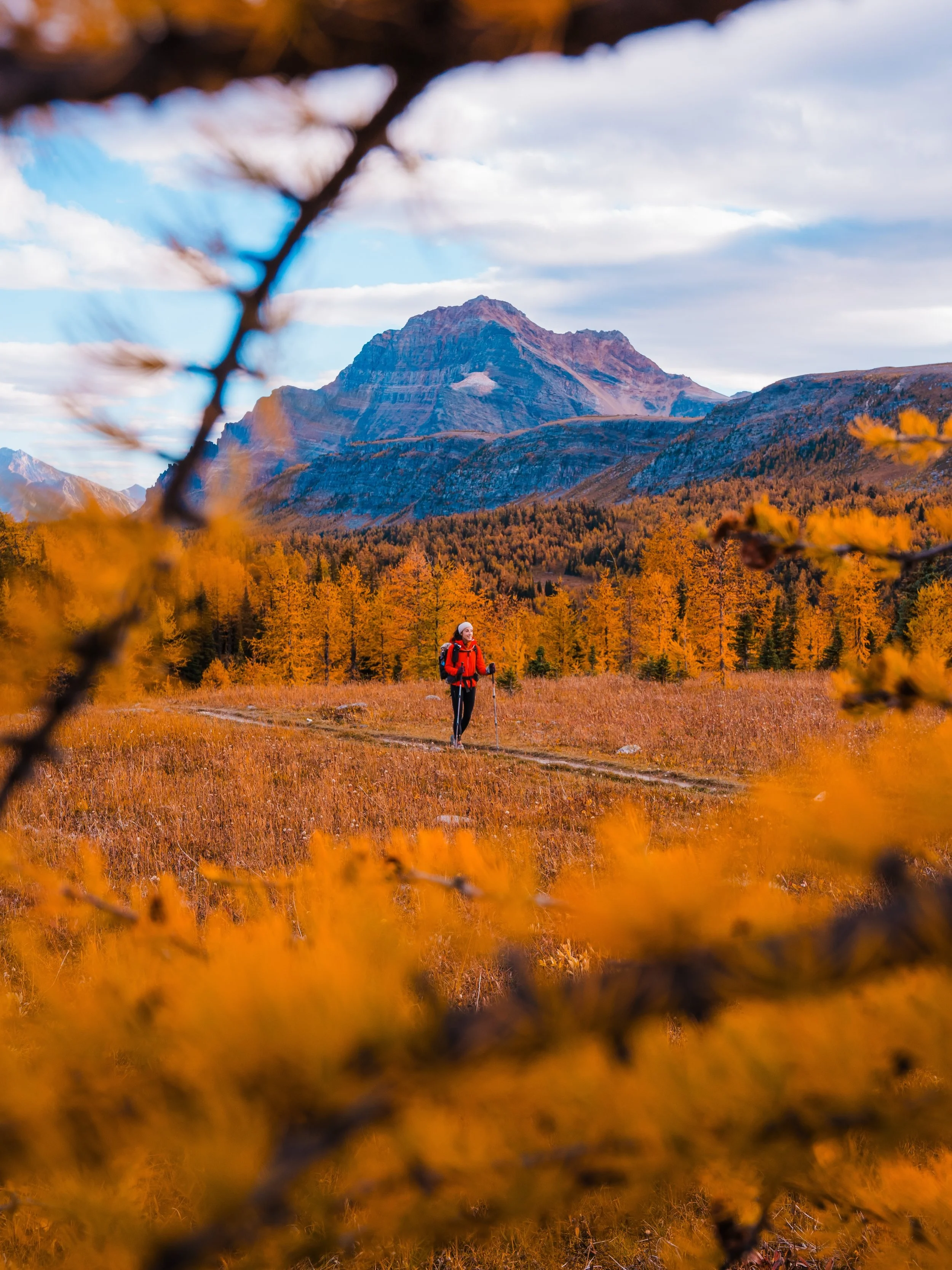 The BEST larch hikes in Banff ⤵️

I know, I know, it&rsquo;s still August&hellip; and I&rsquo;m usually very against fall posts before fall, but hear me out&hellip;

🍁 The greater Banff area is the BEST place to chase golden larches and fall colors,