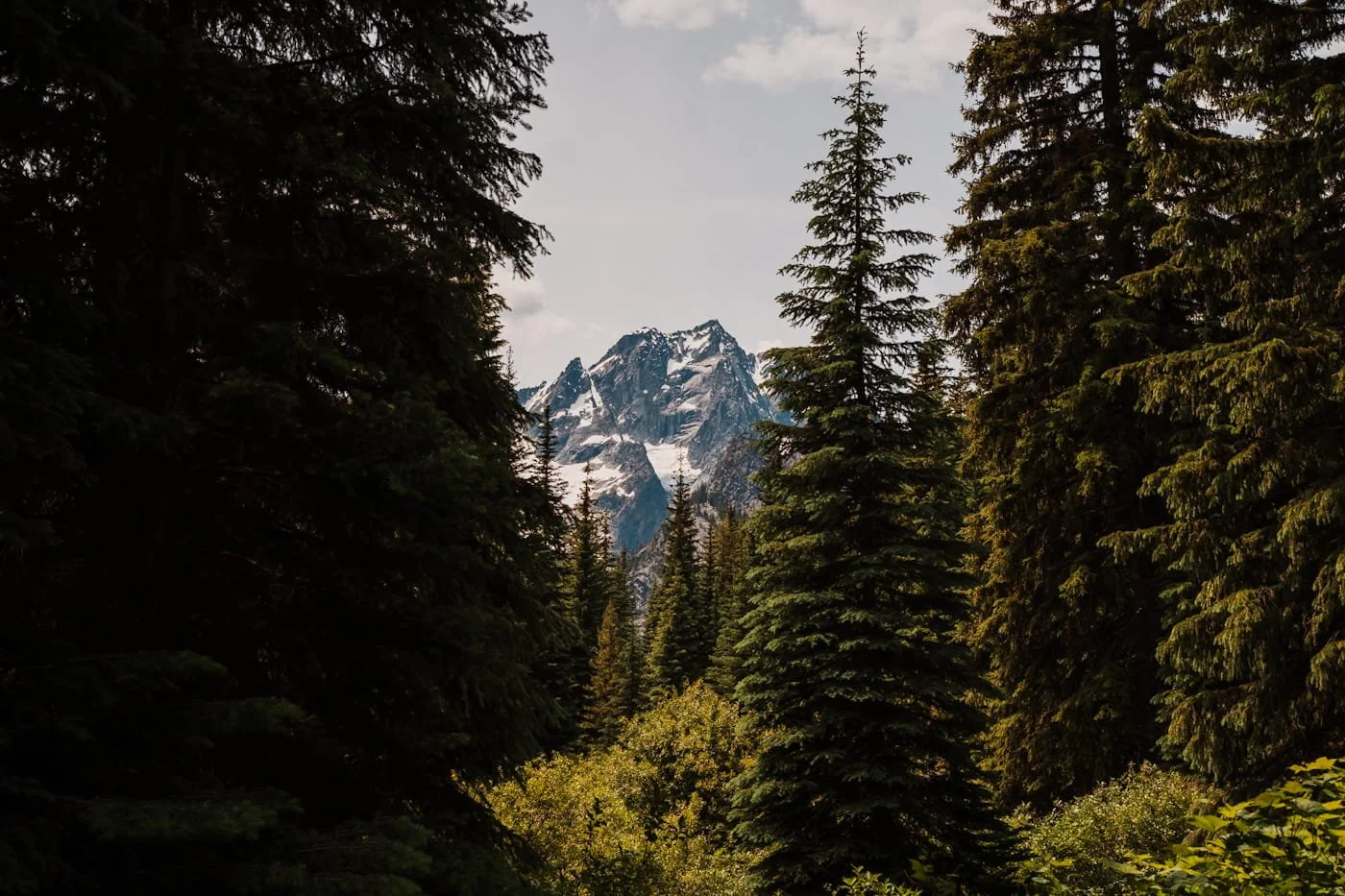 a granite peak between pine trees along the stuart lake trail