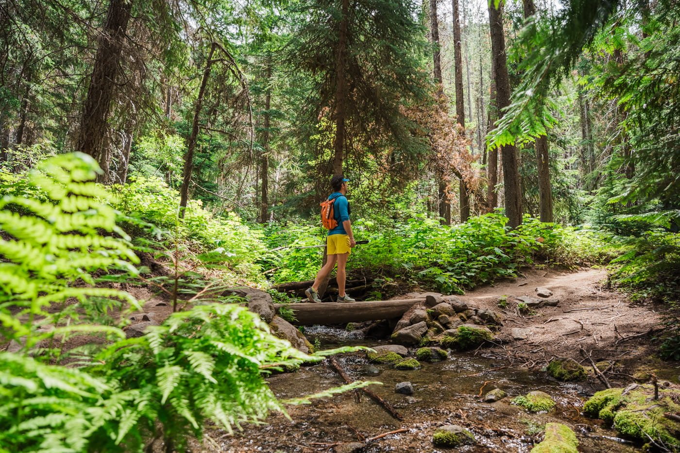 Flat and well shaded early section of Lake Stuart Trail