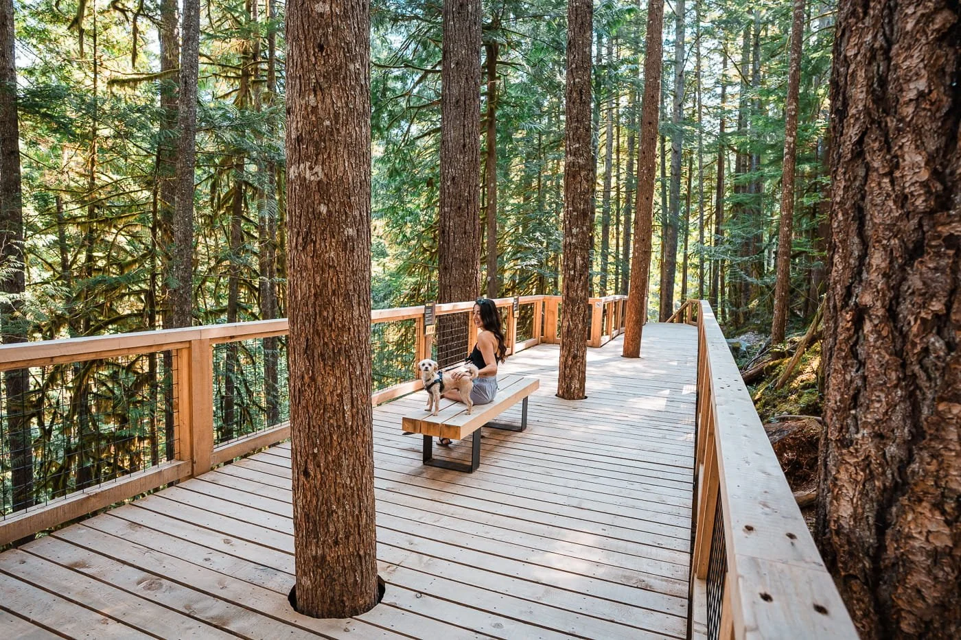 girl and dog sitting on a bench along the Squamish Canyon elevated boardwalk