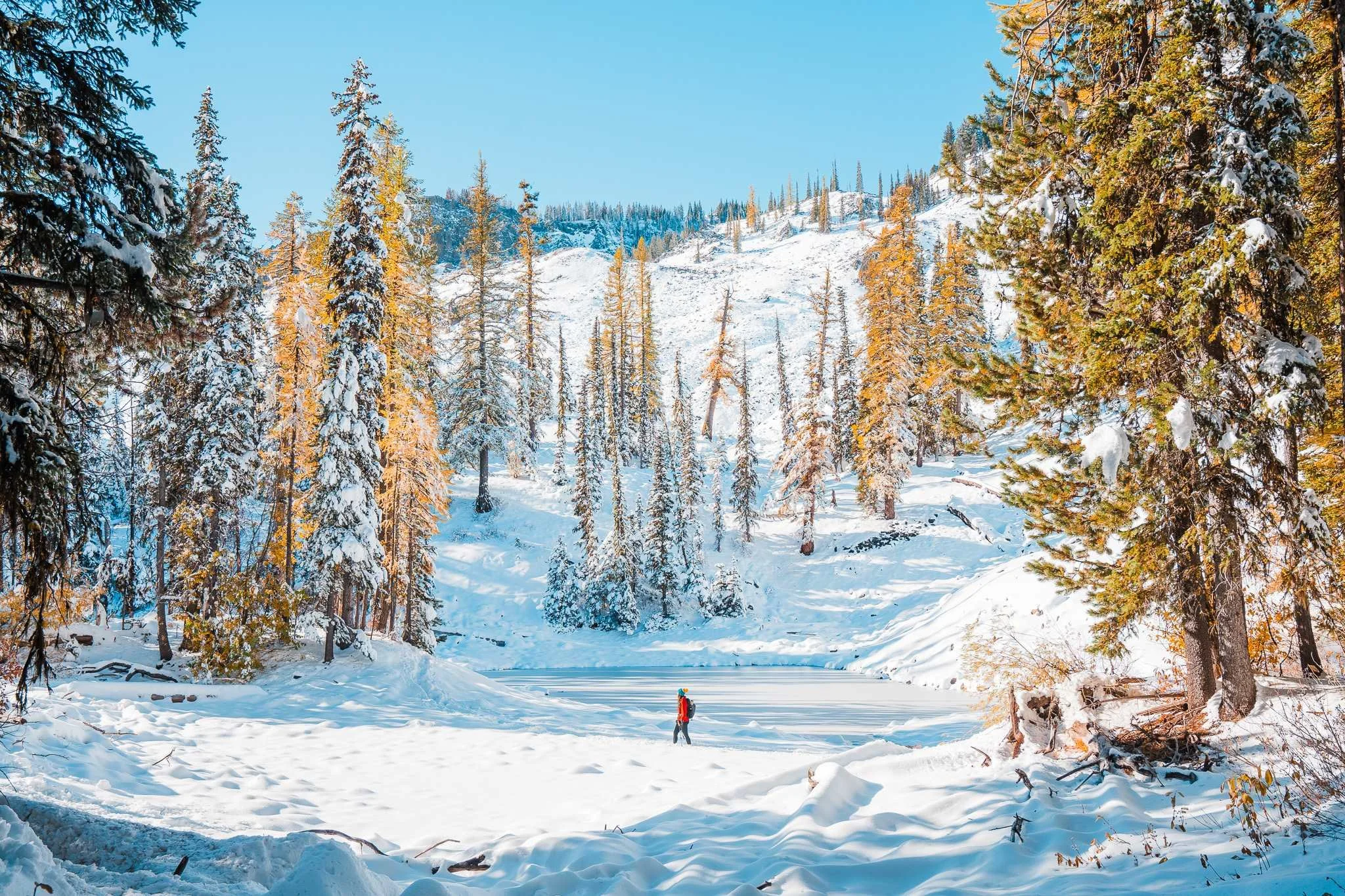 a tiny hiker walking through snow with a frozen lake and snowy golden larches in the background