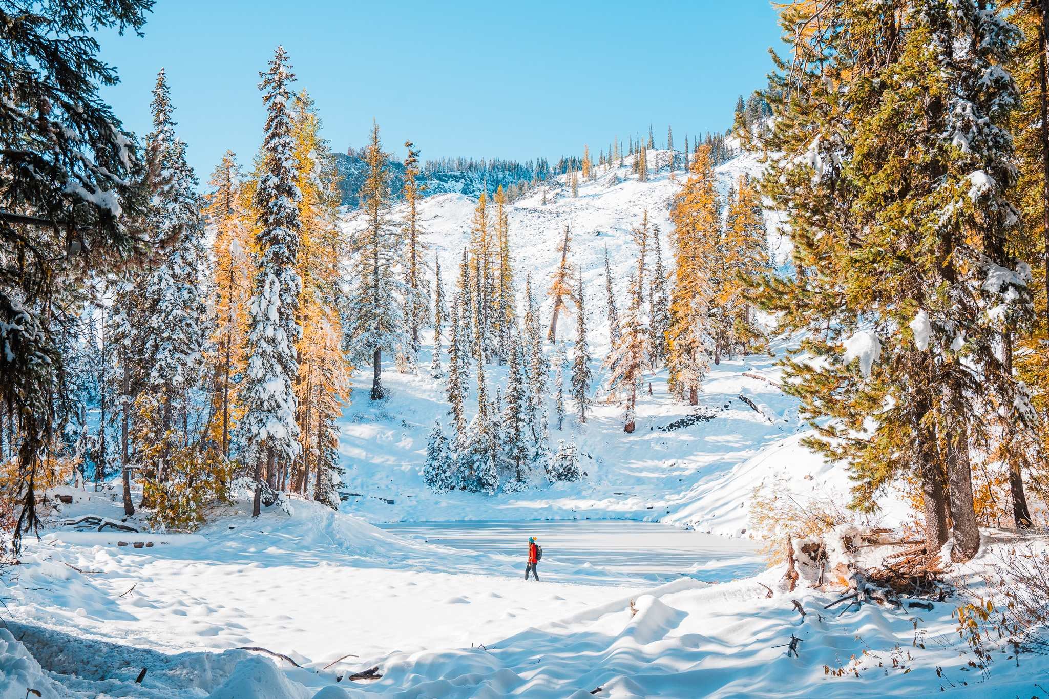 a tiny person hiking in snow with a frozen lake and snow covered golden larches