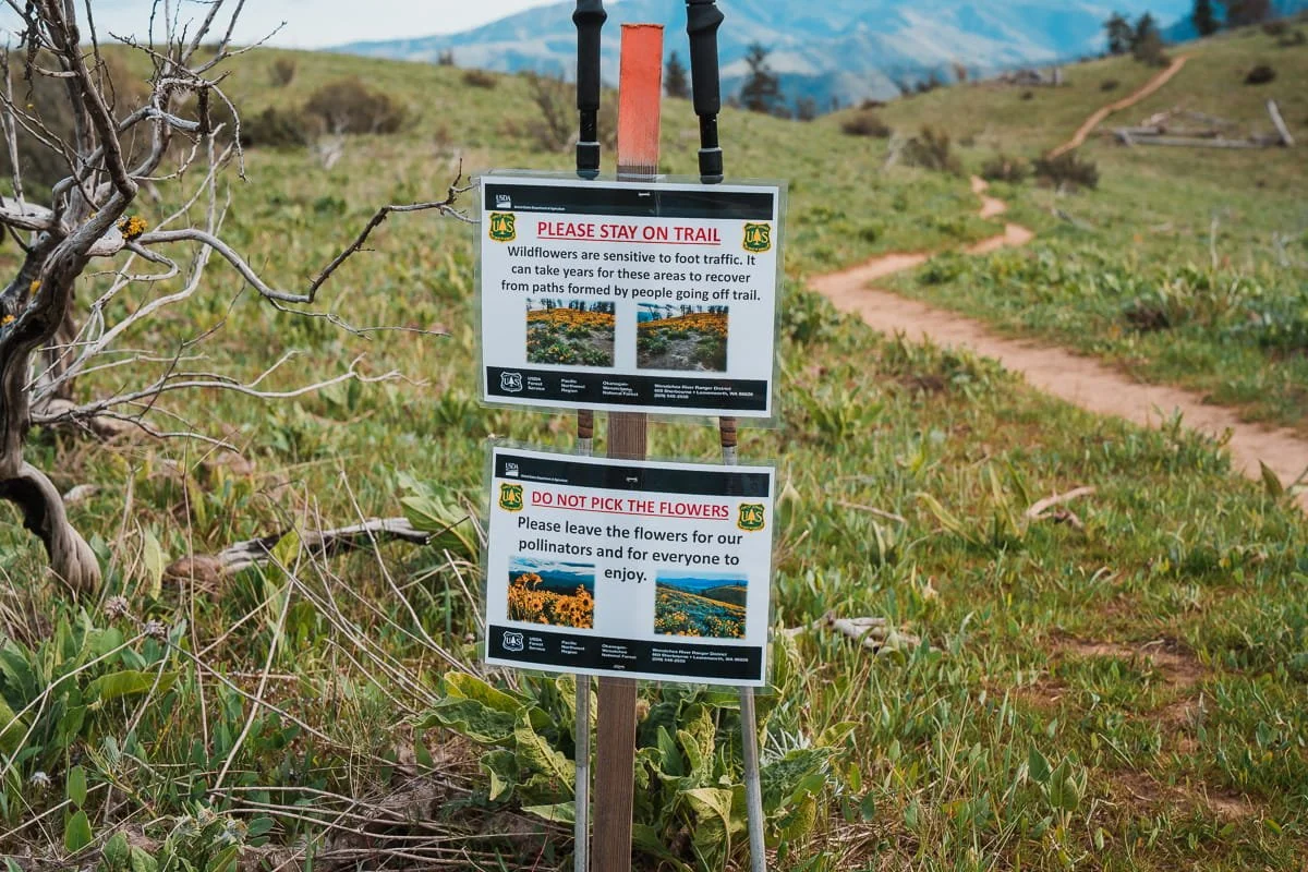 A picture of two signs on the side of the olalla ridge trail telling hikers to stay on trail and not pick wildflowers
