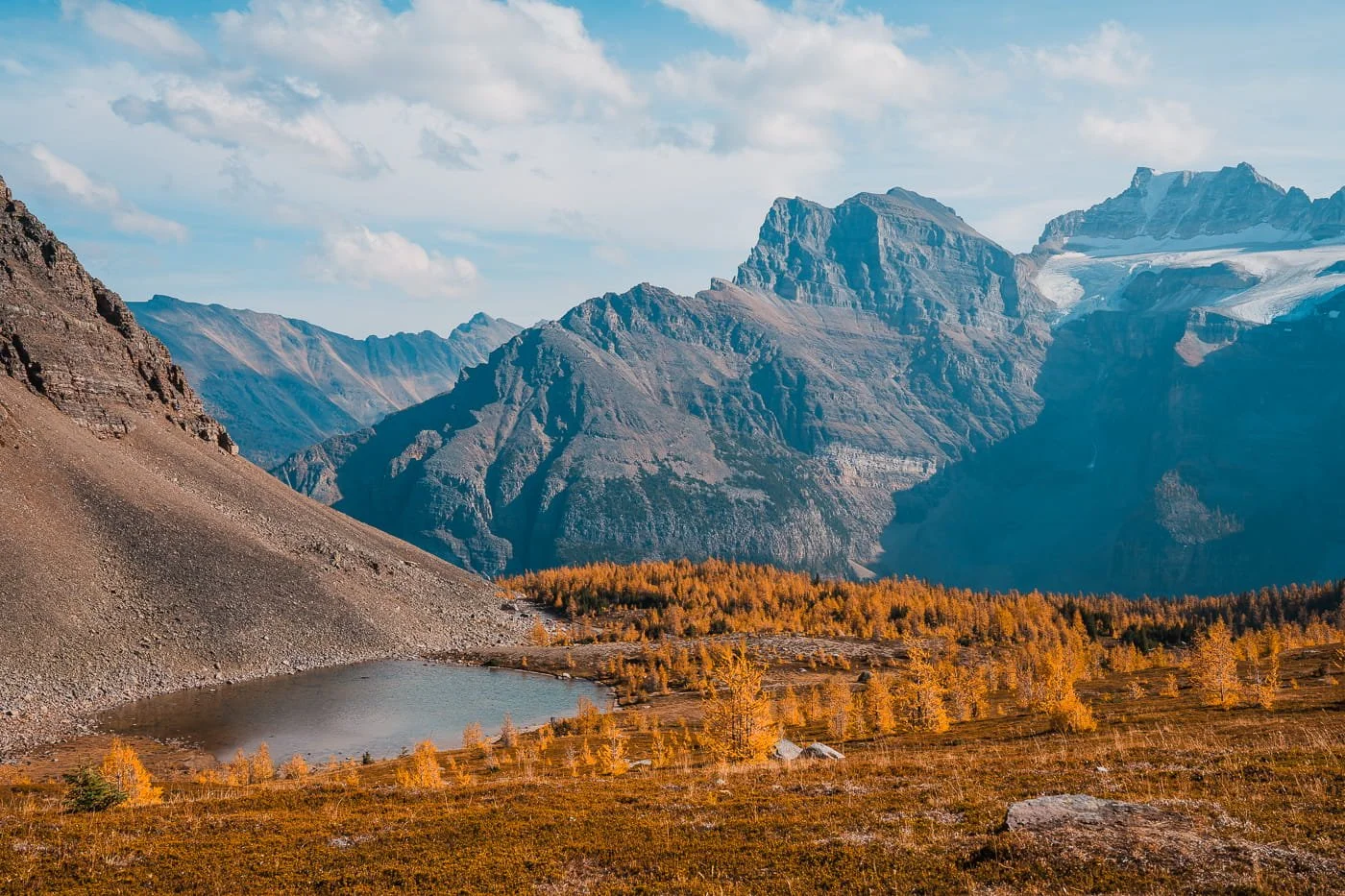 fall colors and larch trees with an alpine lake and mountains in the background in larch valley in banff