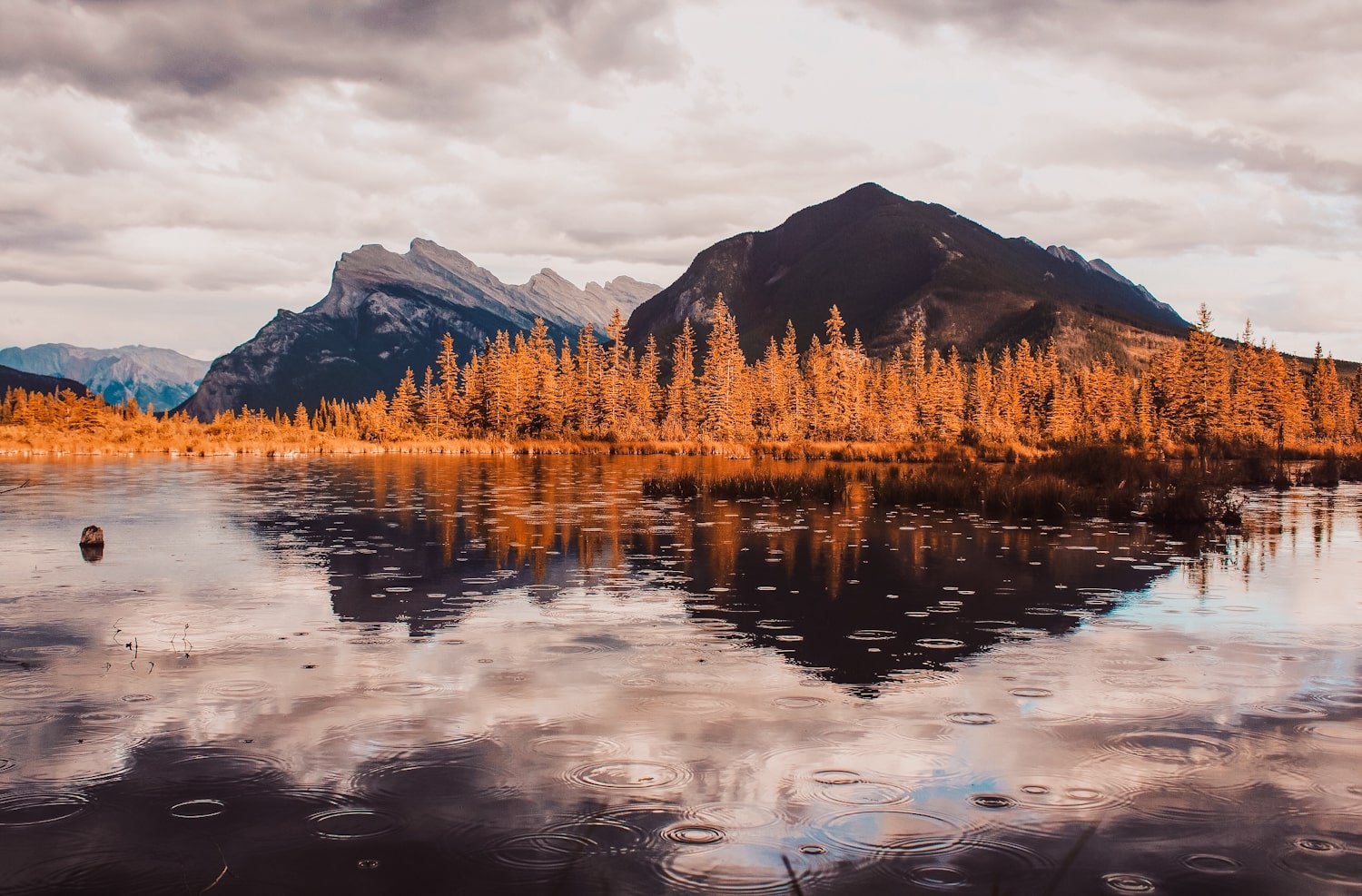 a reflective Vermillion Lakes with mount Rundle in the background. Rain is falling on the water and casting shadows and light on the mountains and trees