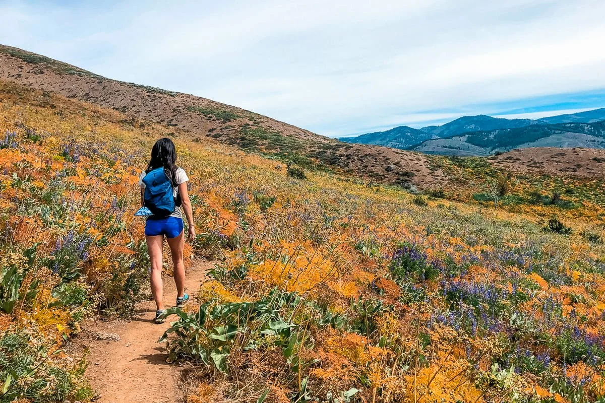 a woman hiking on a dirt trail with wildflowers on either side