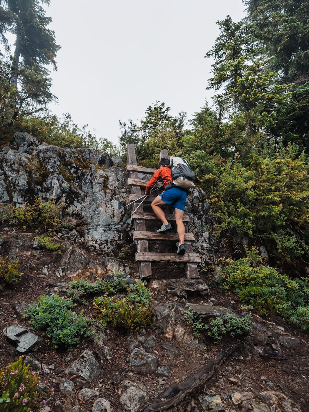 golden-ears-ladder.jpg